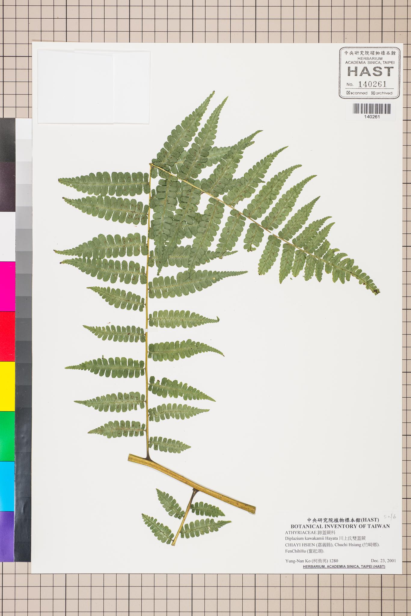 Sample image for viewer