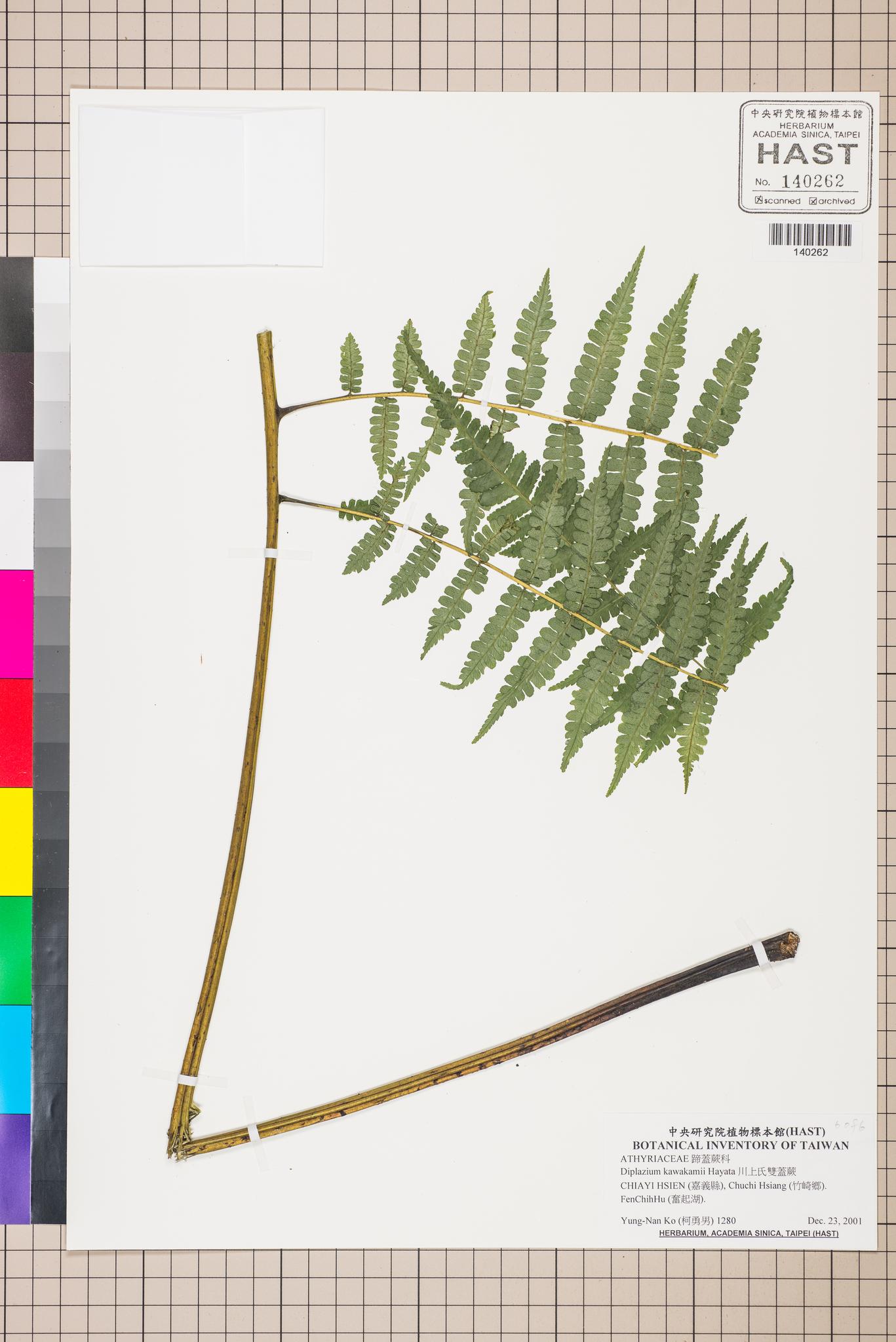 Sample image for viewer