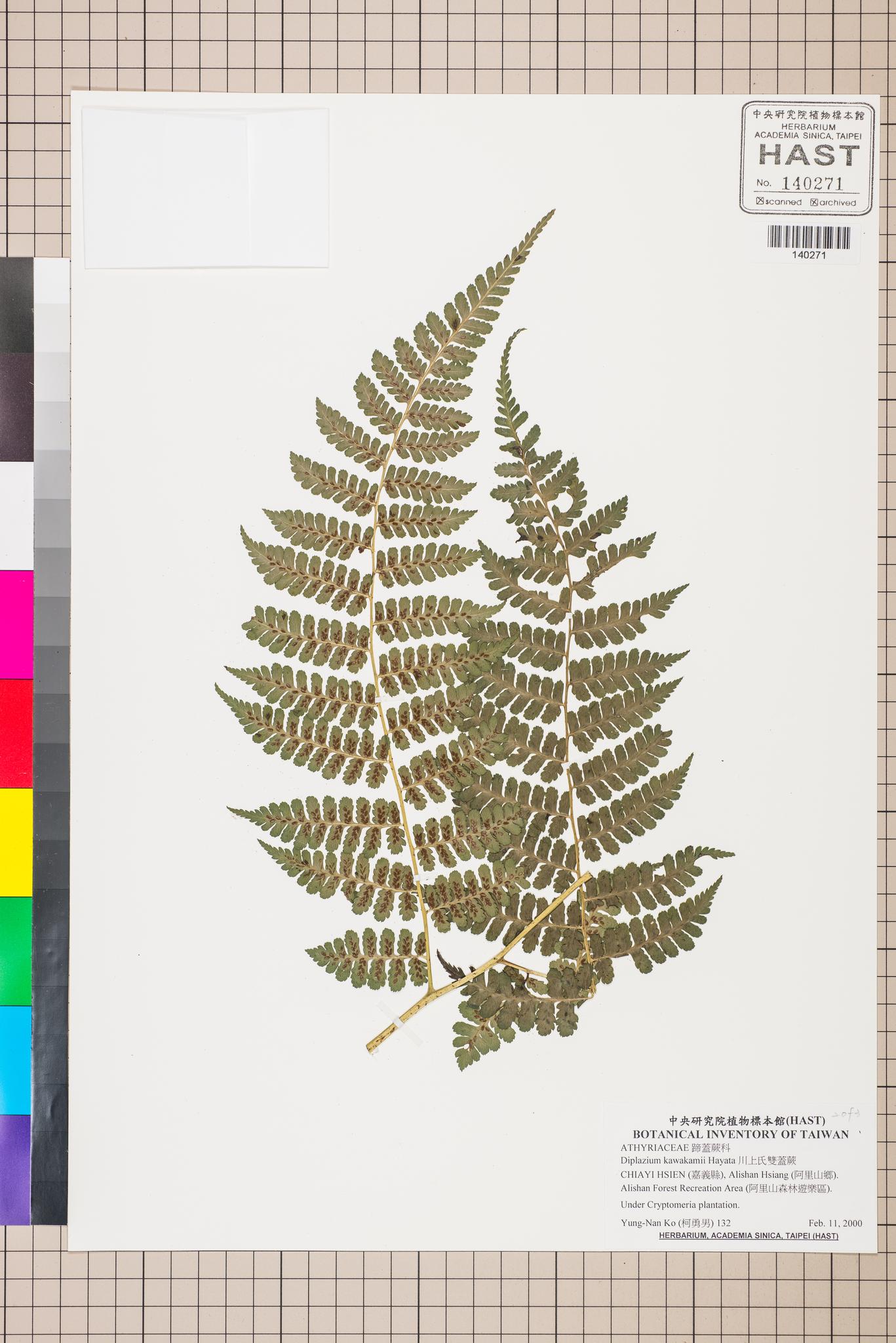 Sample image for viewer