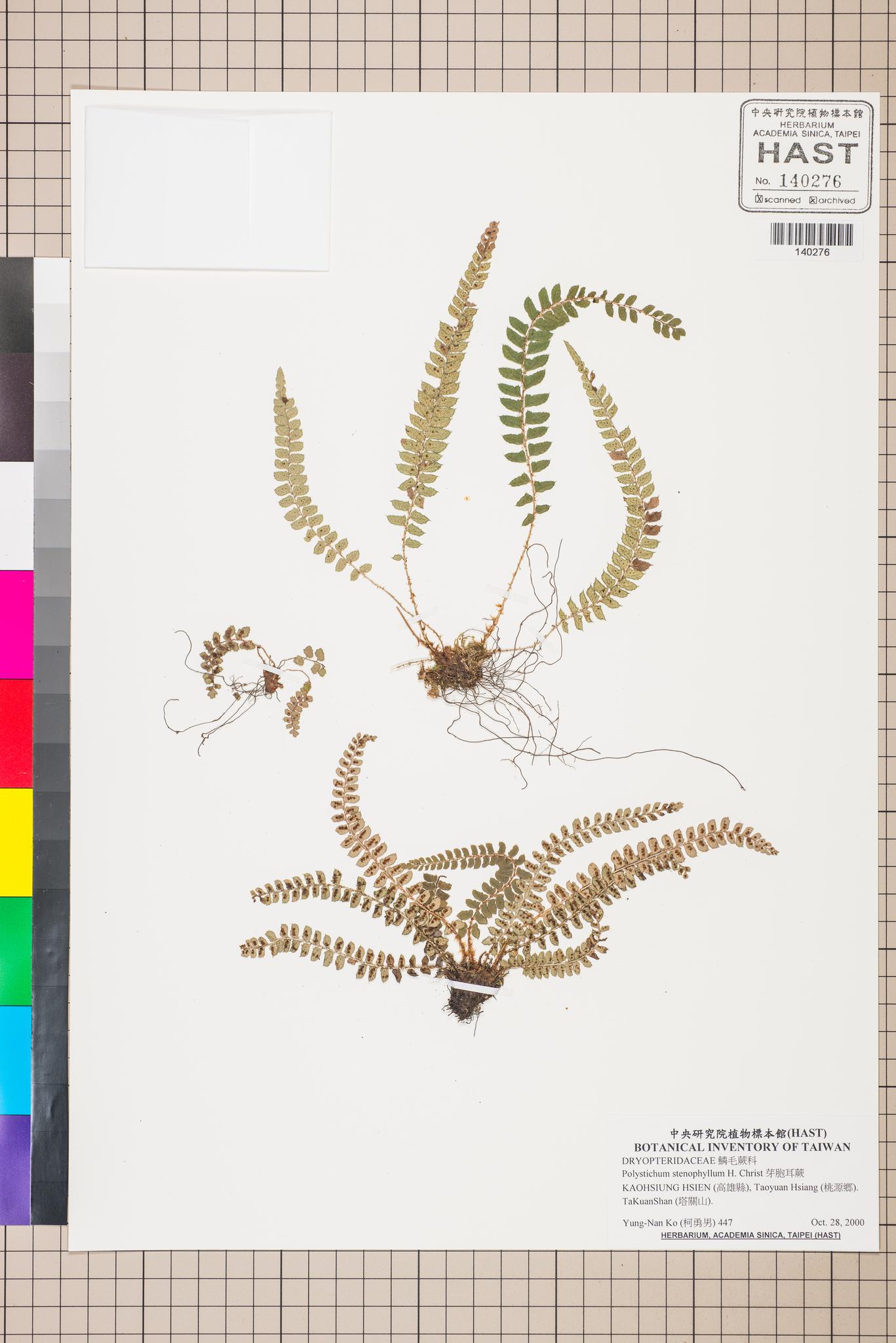 Sample image for viewer