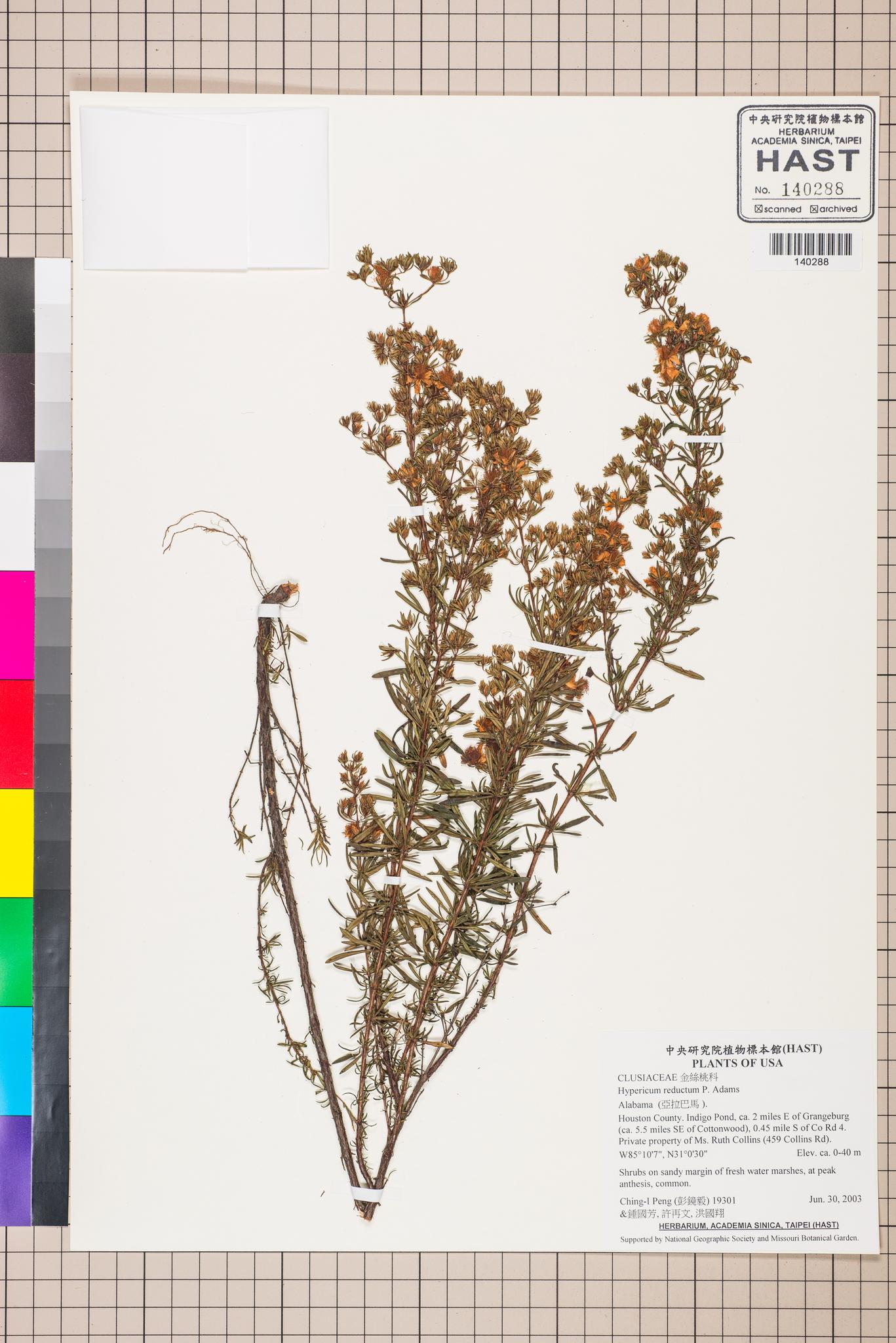 Sample image for viewer