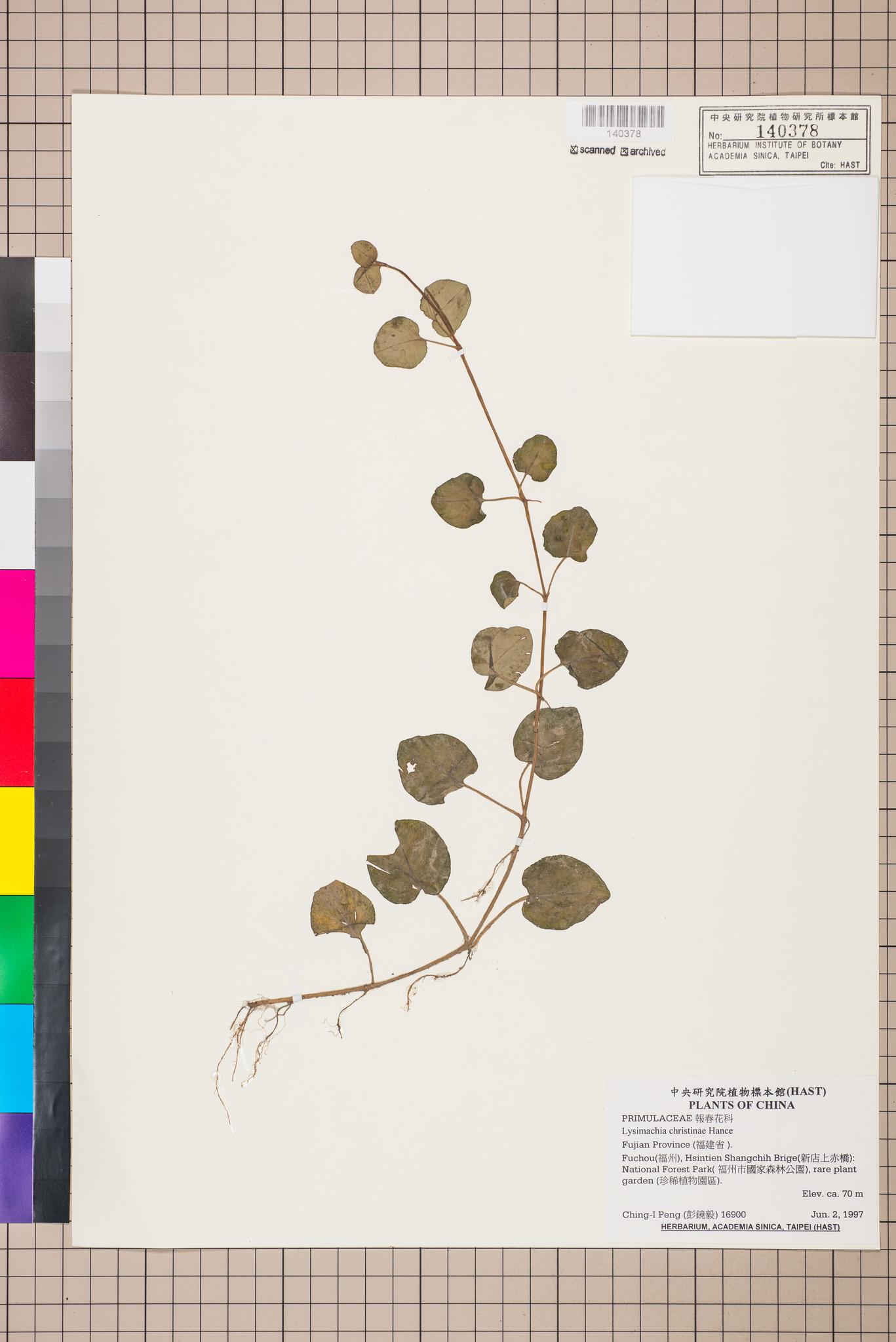 Sample image for viewer