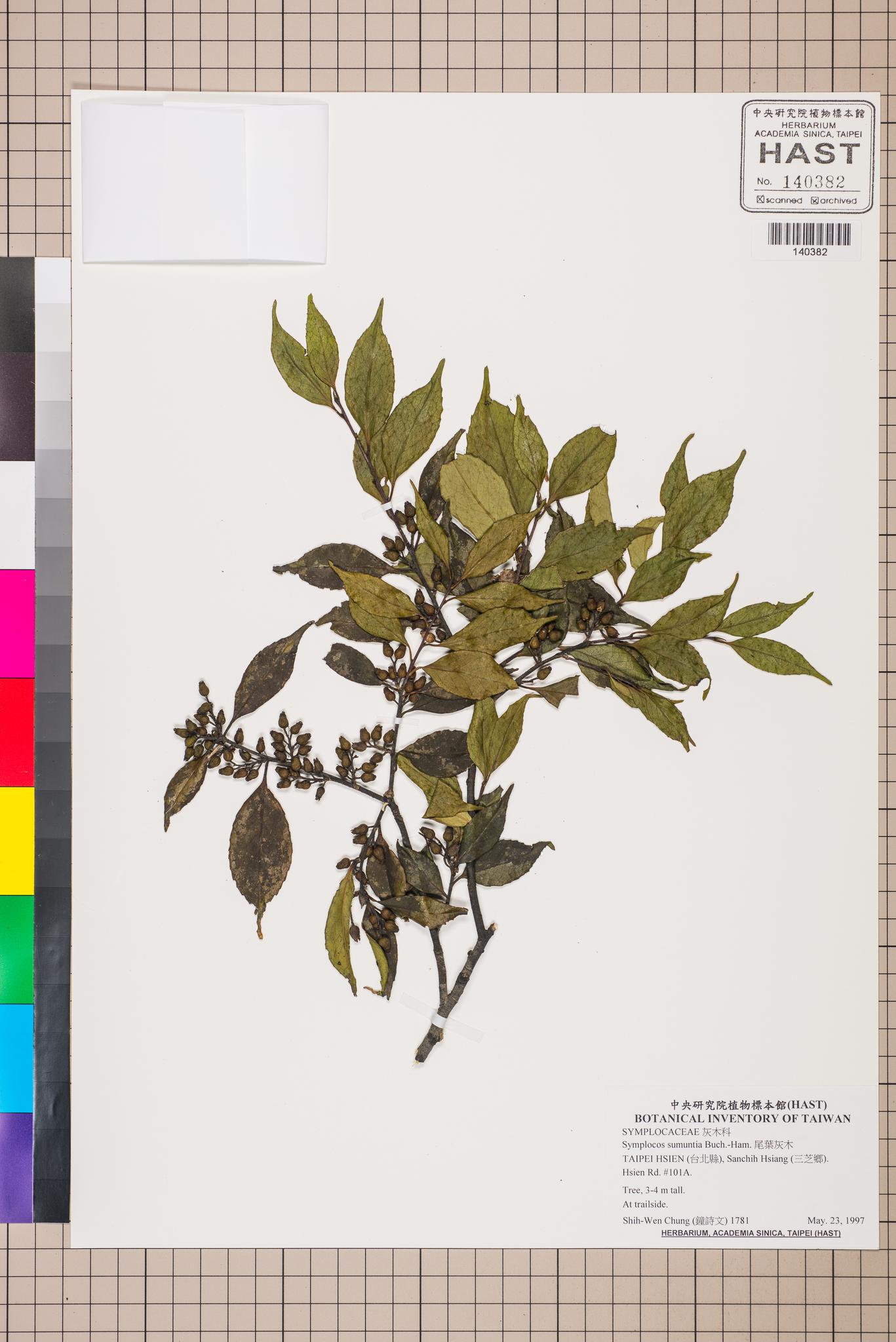 Sample image for viewer