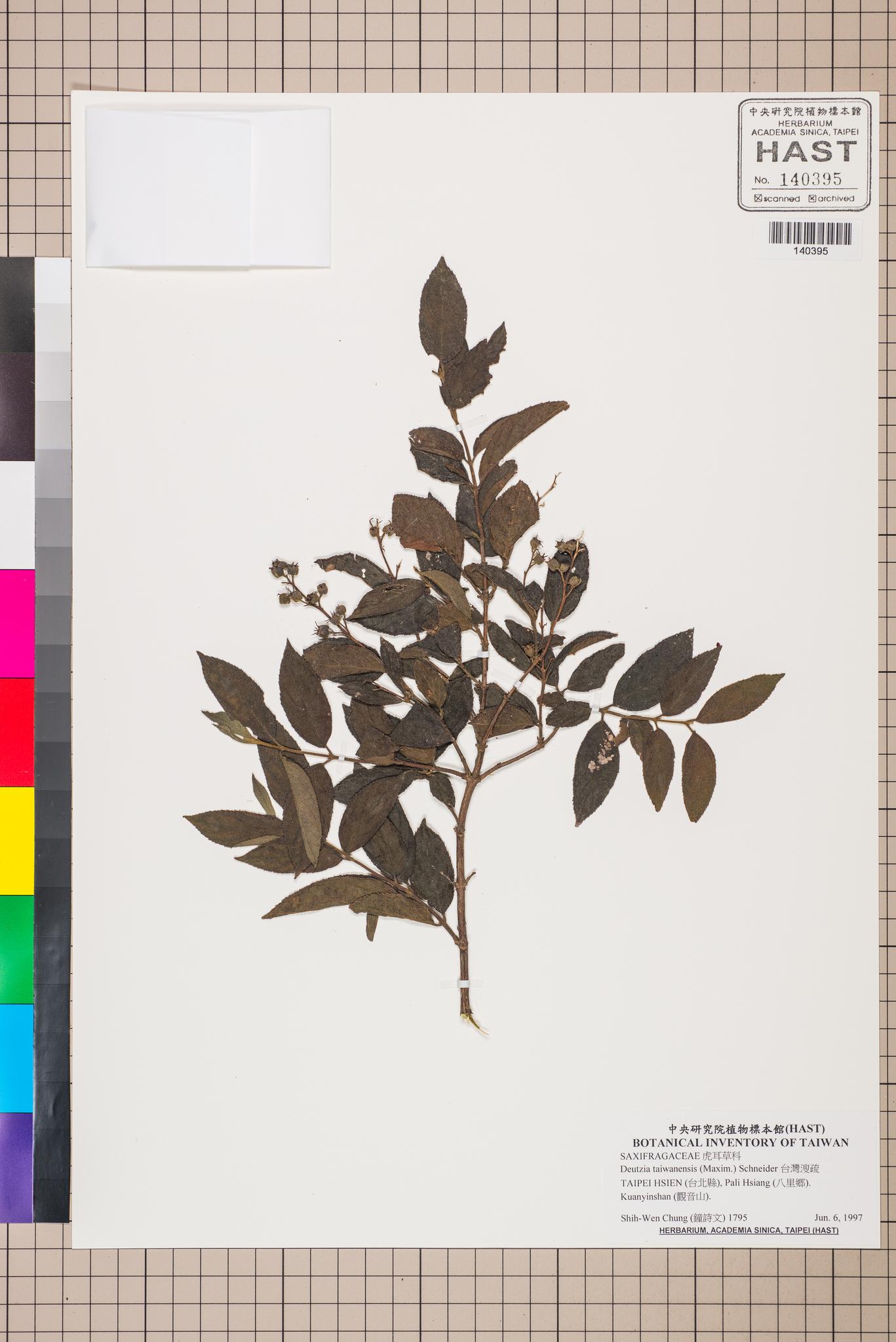 Sample image for viewer