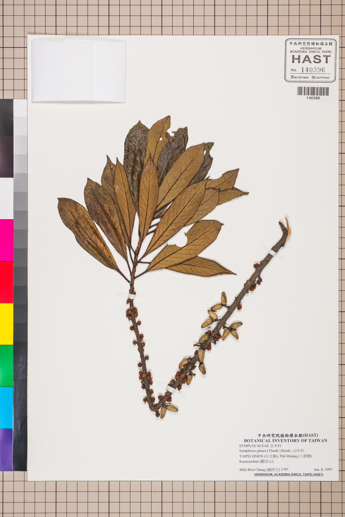 Sample image for viewer