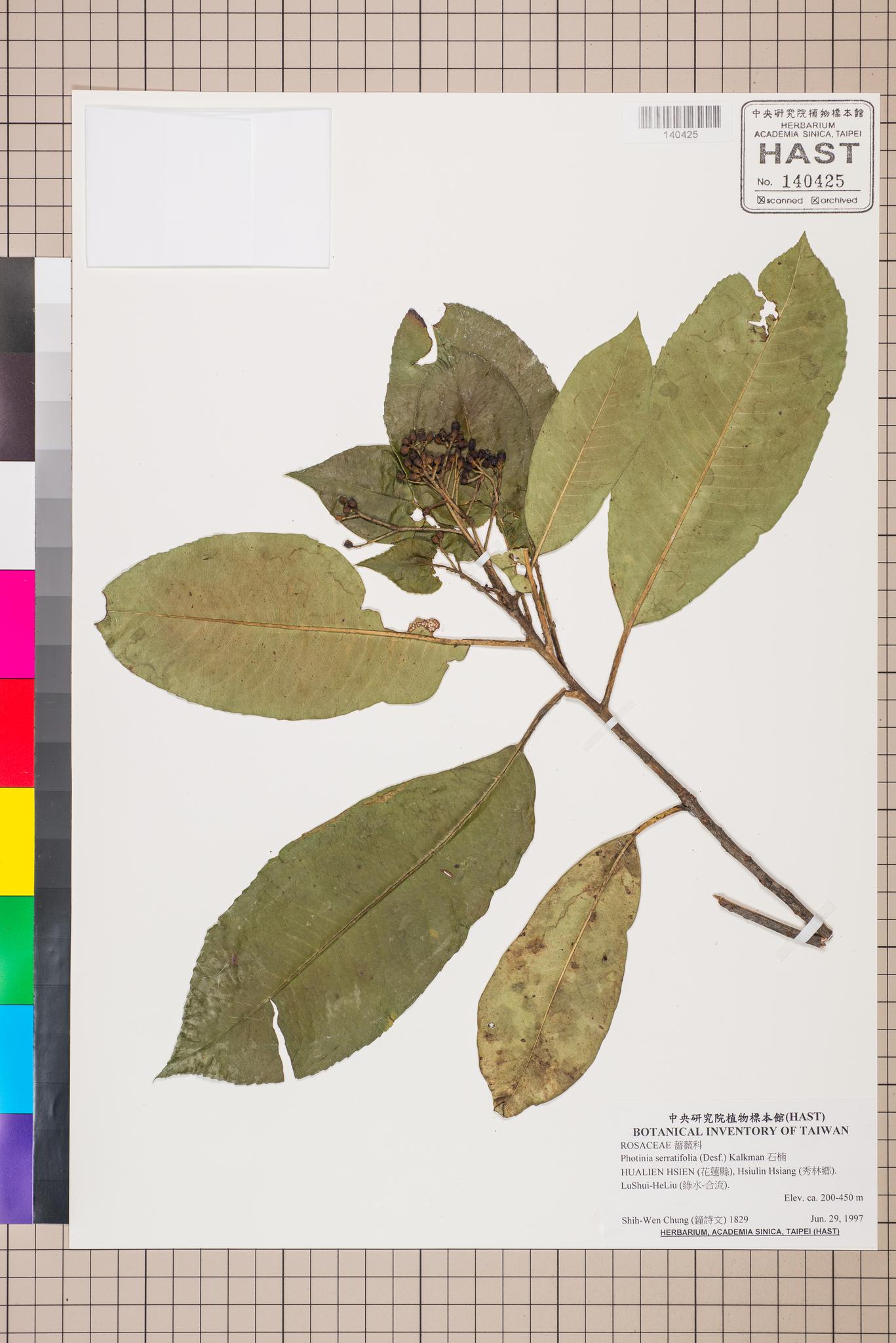 Sample image for viewer