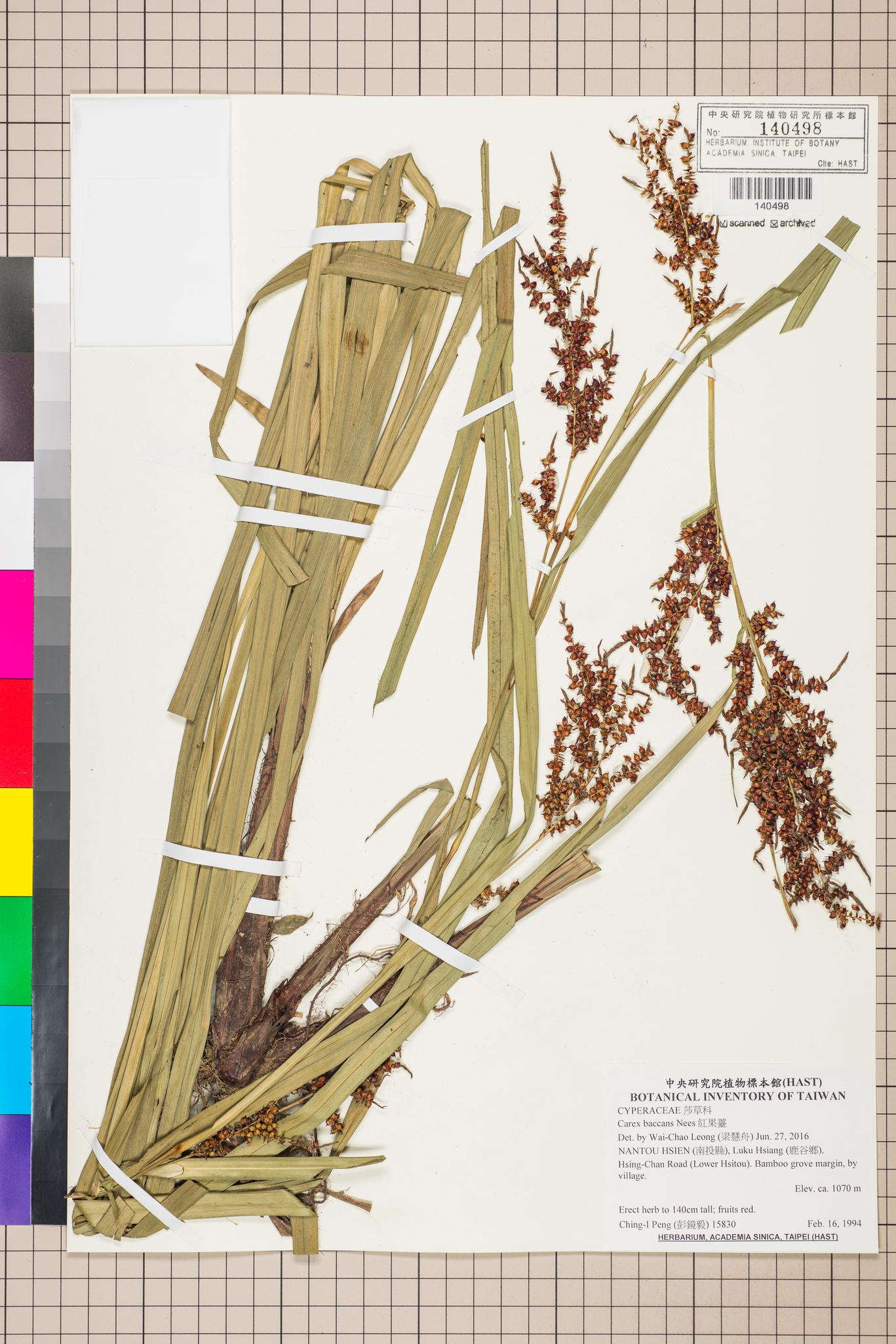 Sample image for viewer