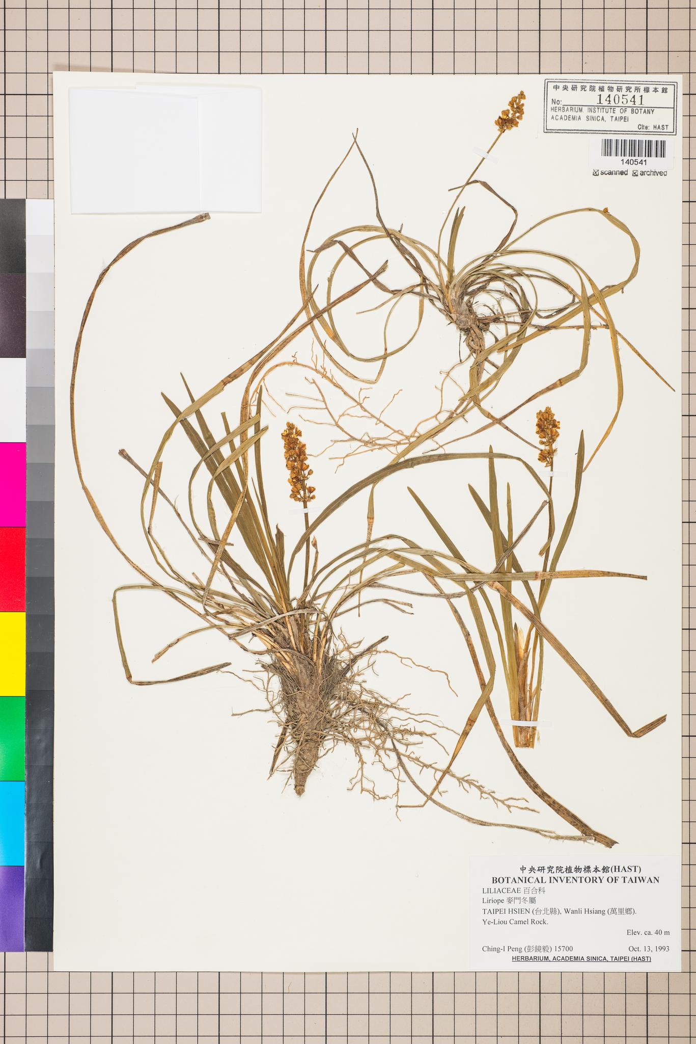 Sample image for viewer