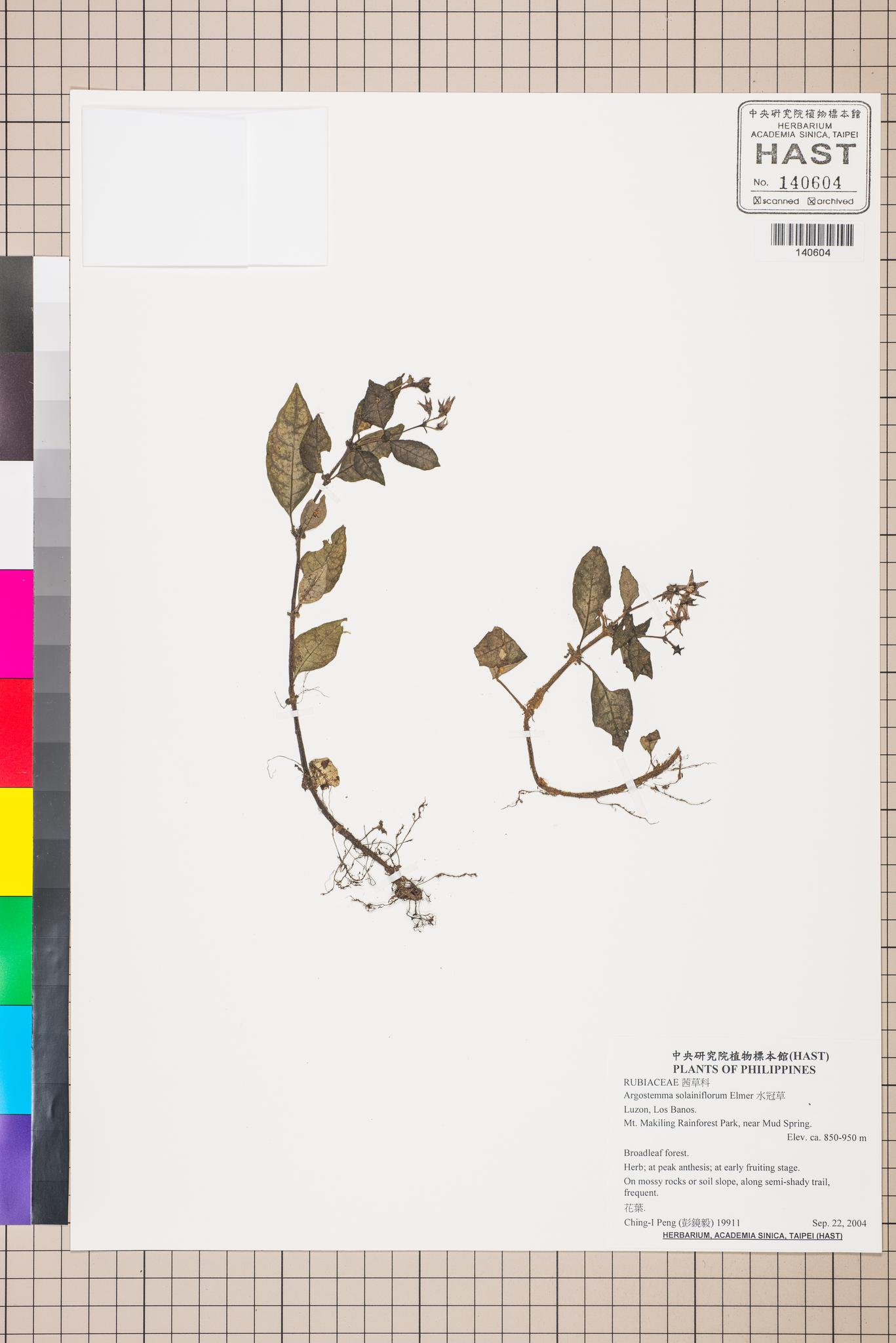 Sample image for viewer