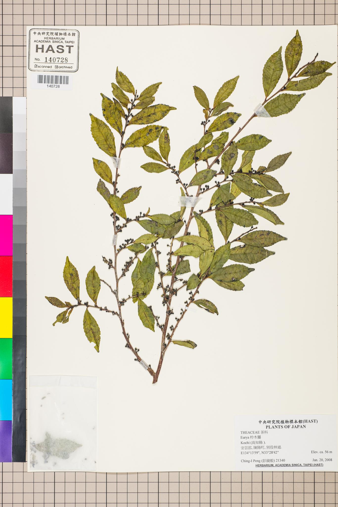 Sample image for viewer