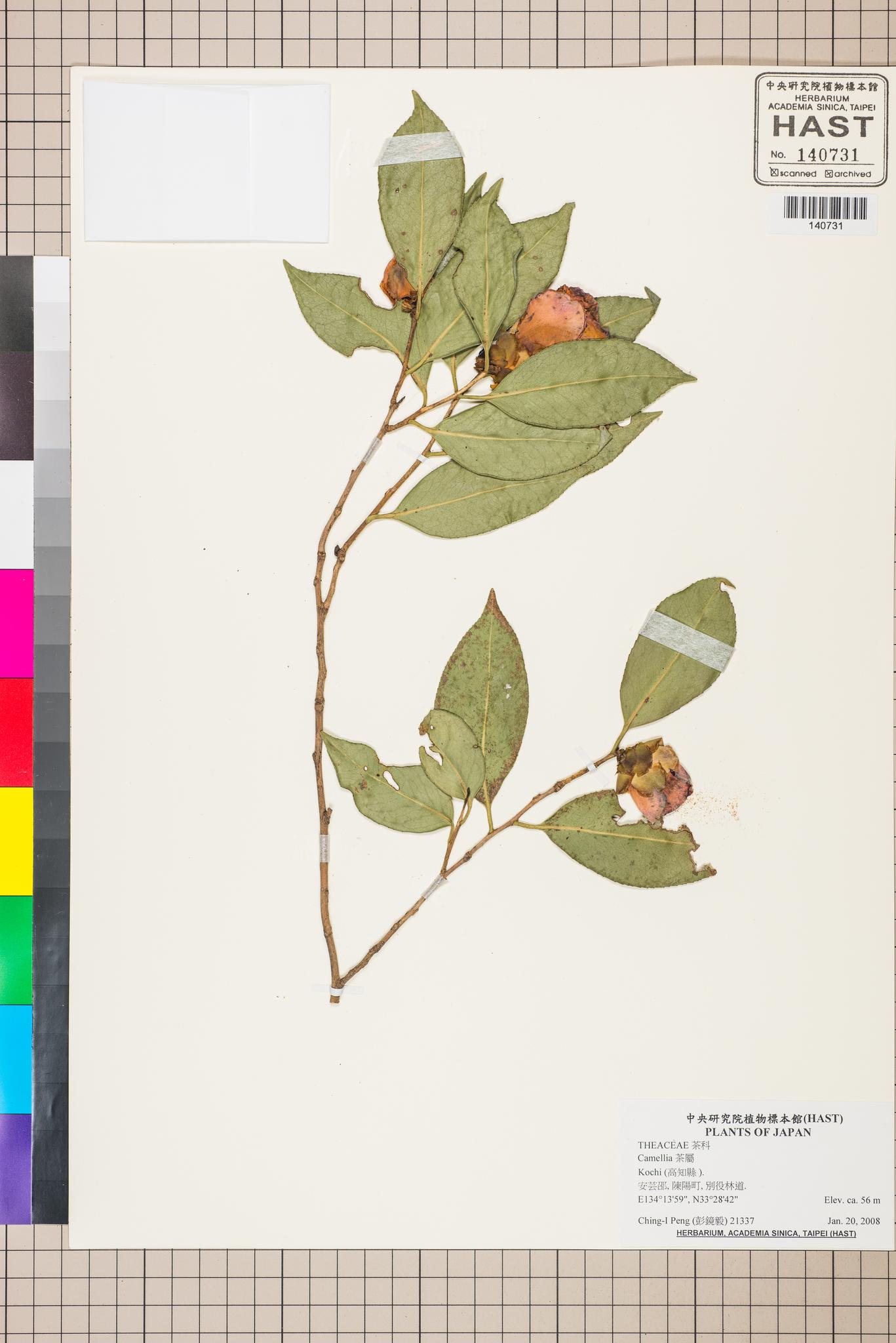 Sample image for viewer