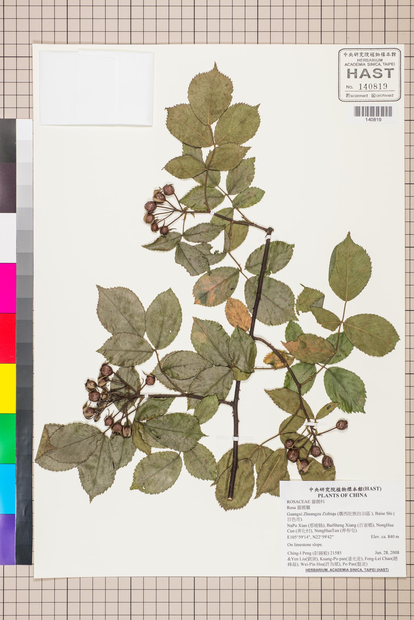 Sample image for viewer