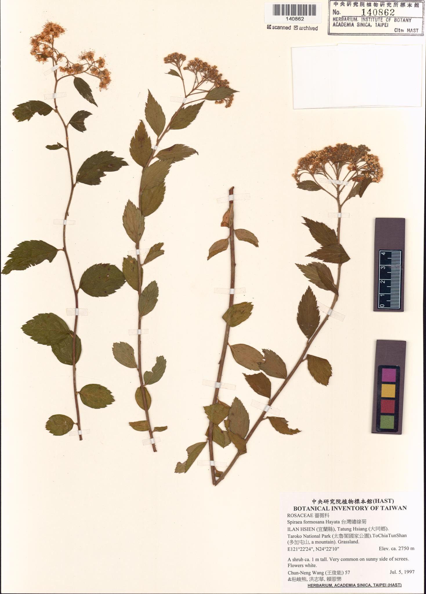 Sample image for viewer