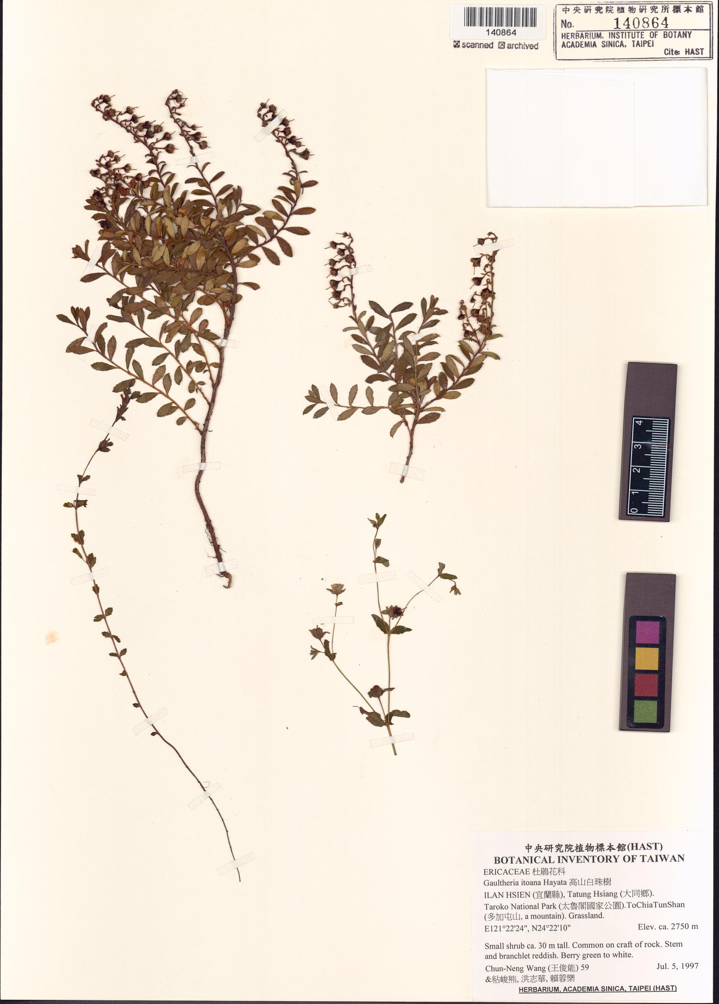 Sample image for viewer