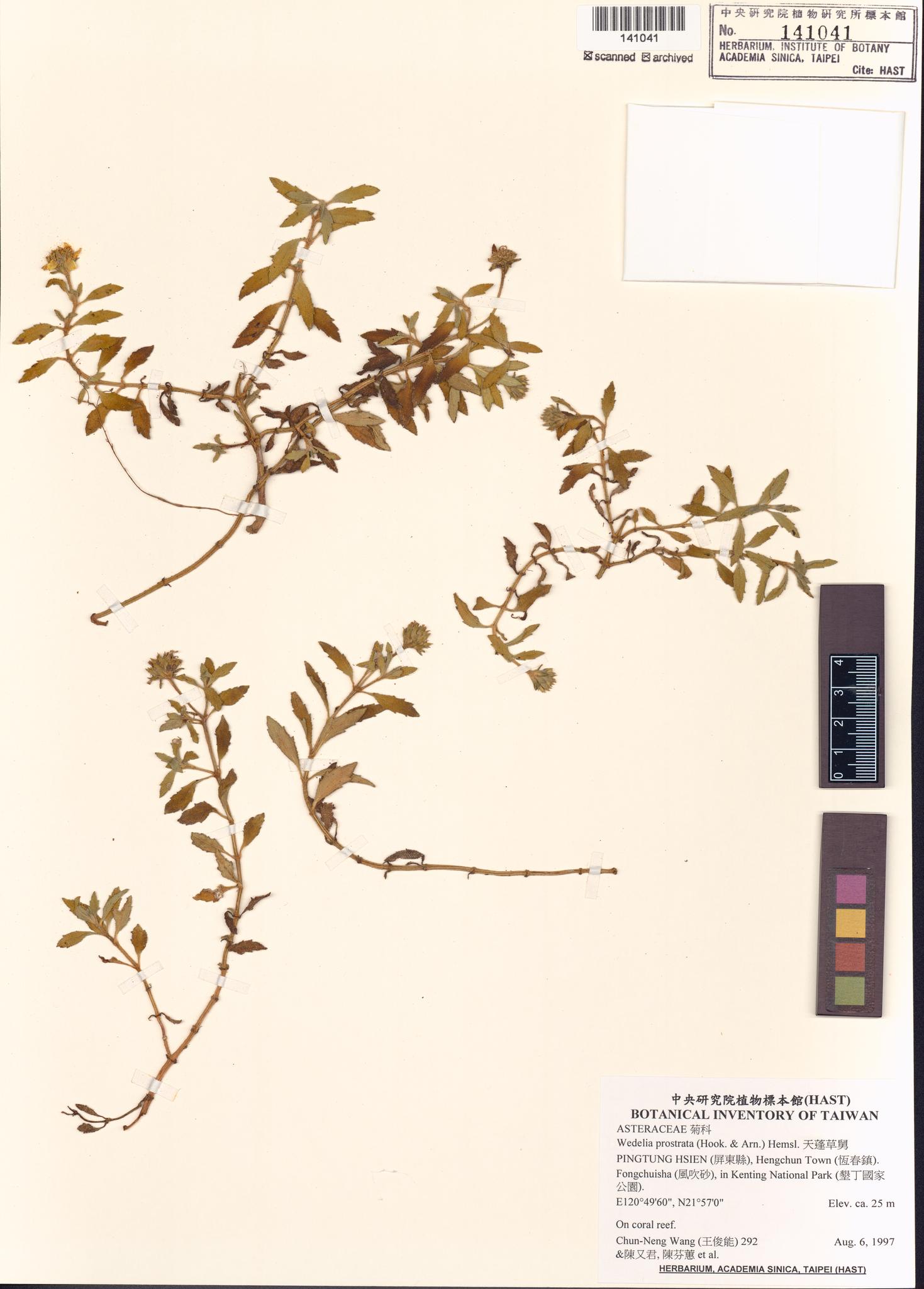 Sample image for viewer