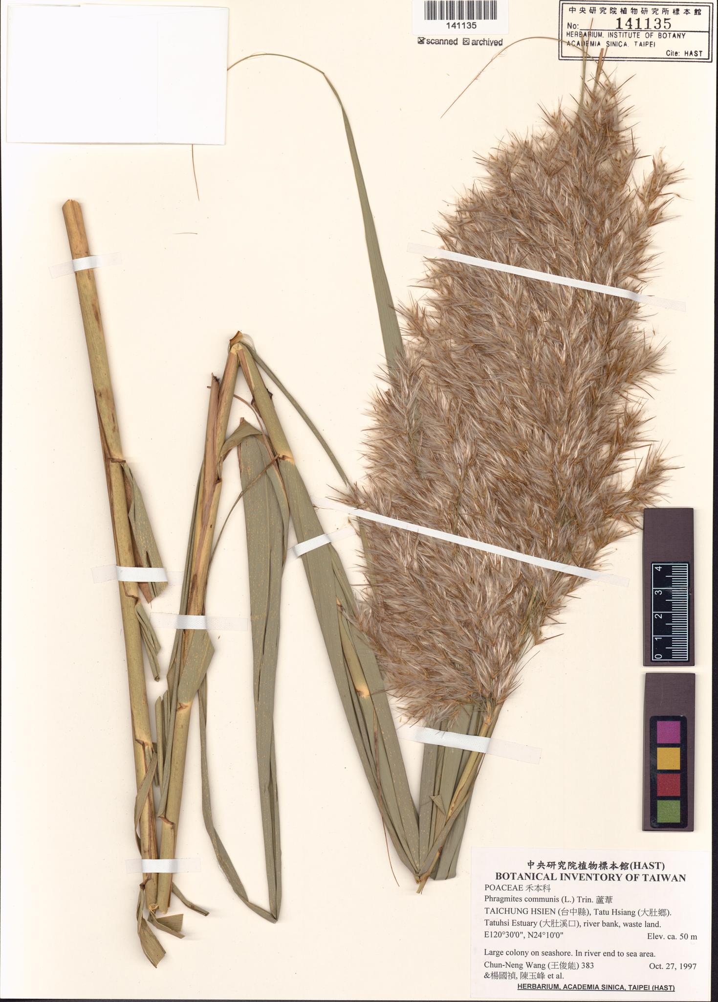 Sample image for viewer