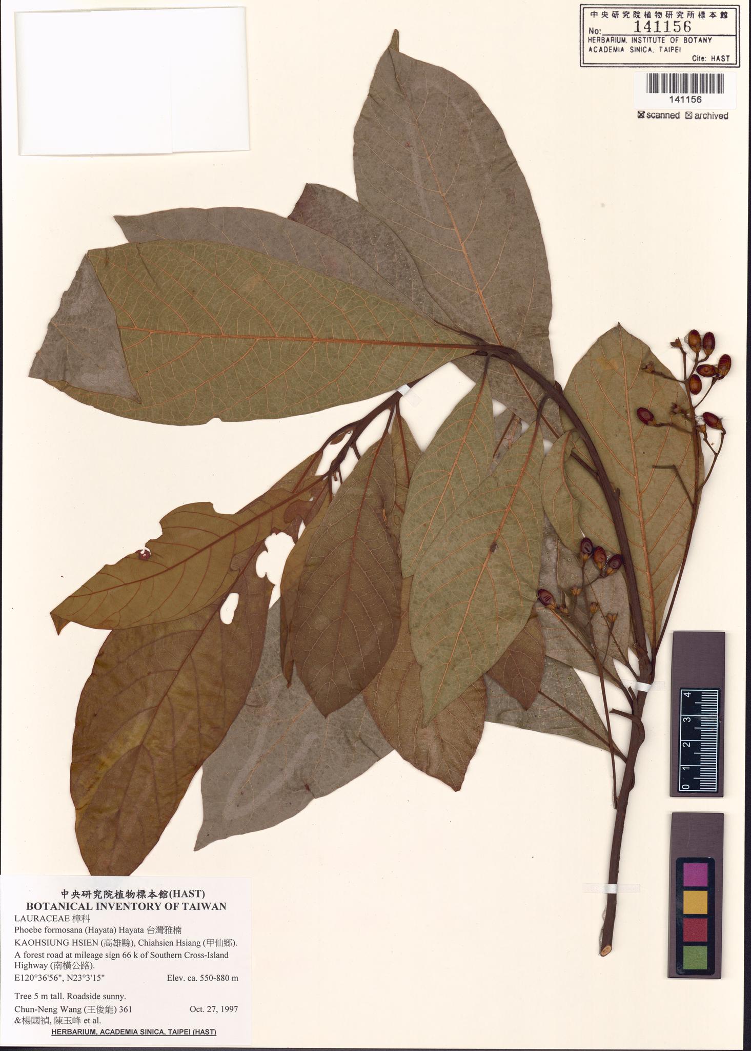 Sample image for viewer