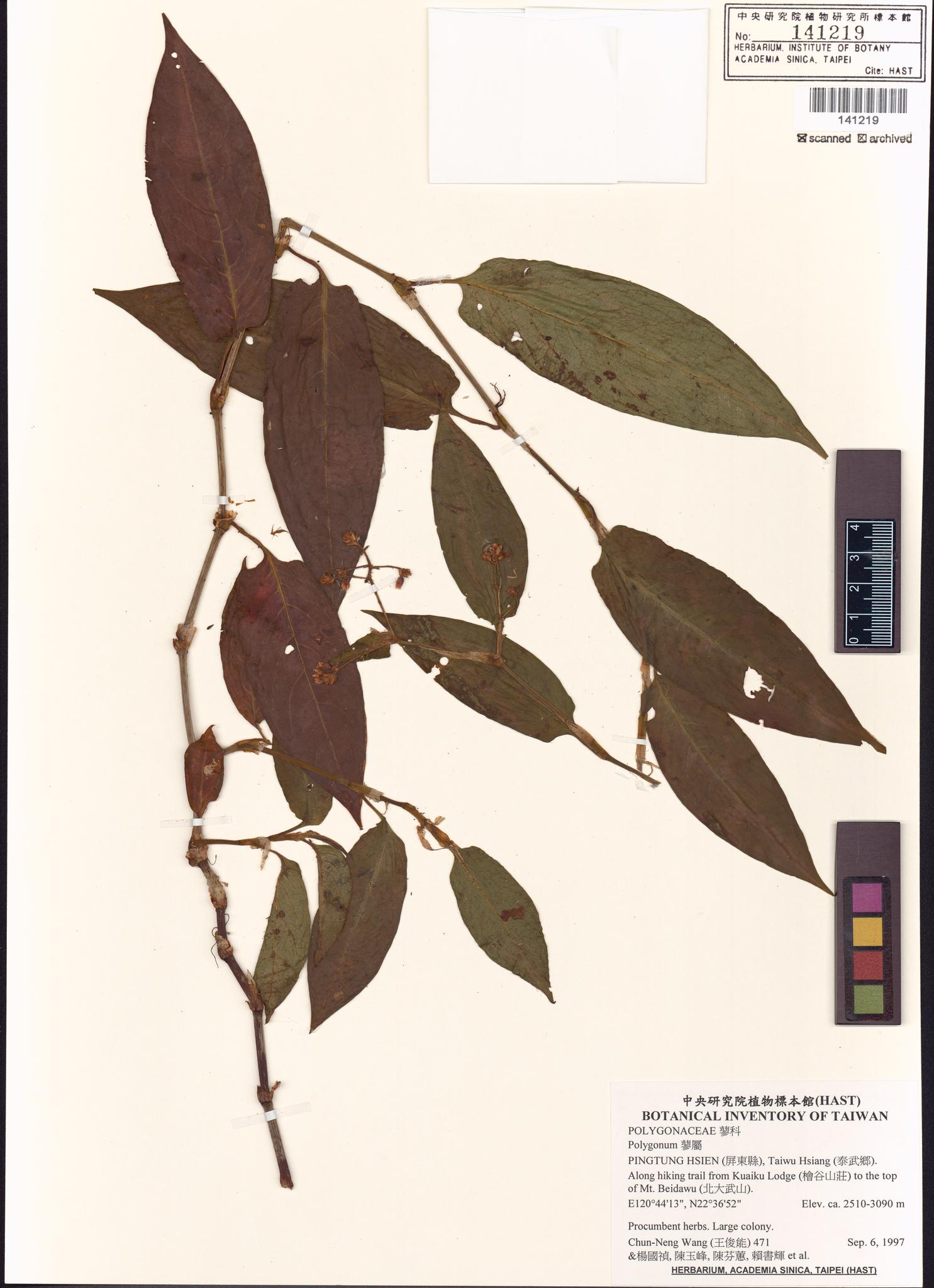 Sample image for viewer