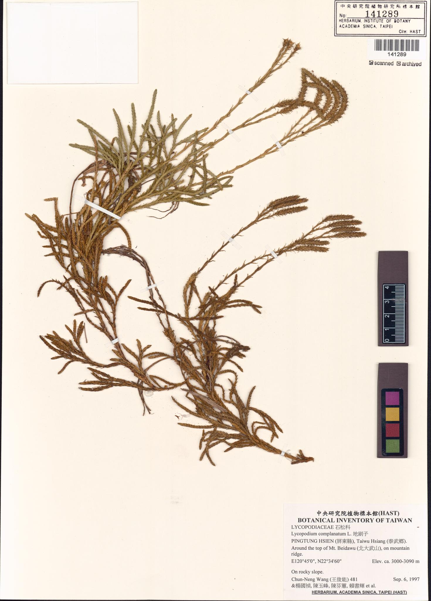 Sample image for viewer