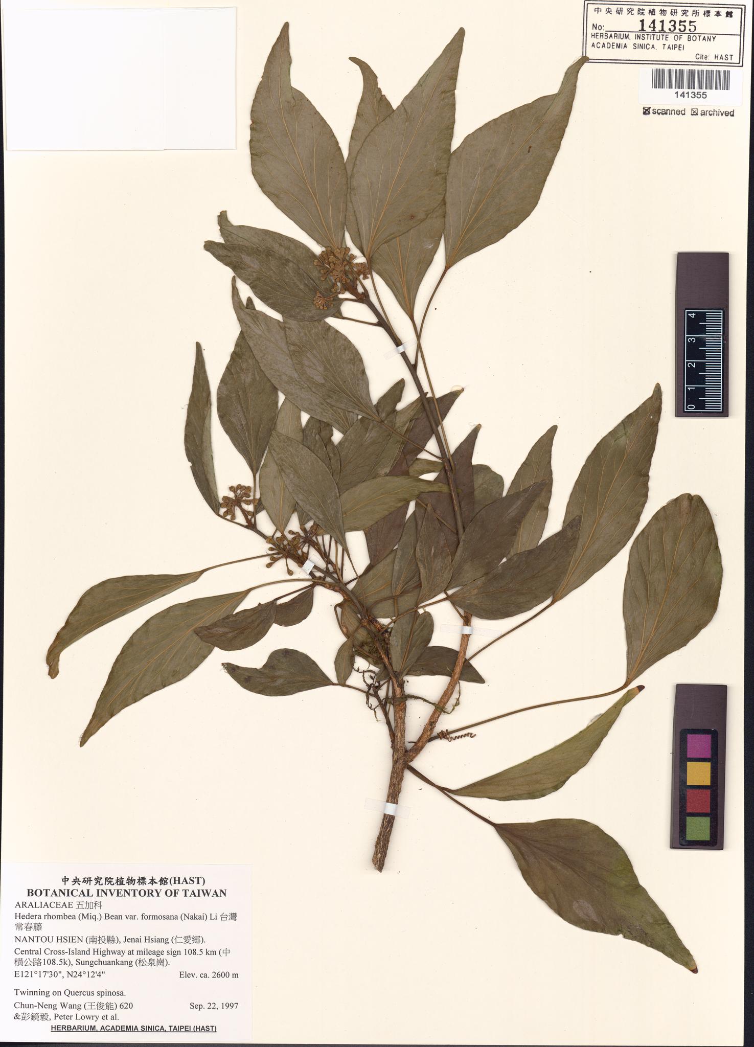 Sample image for viewer