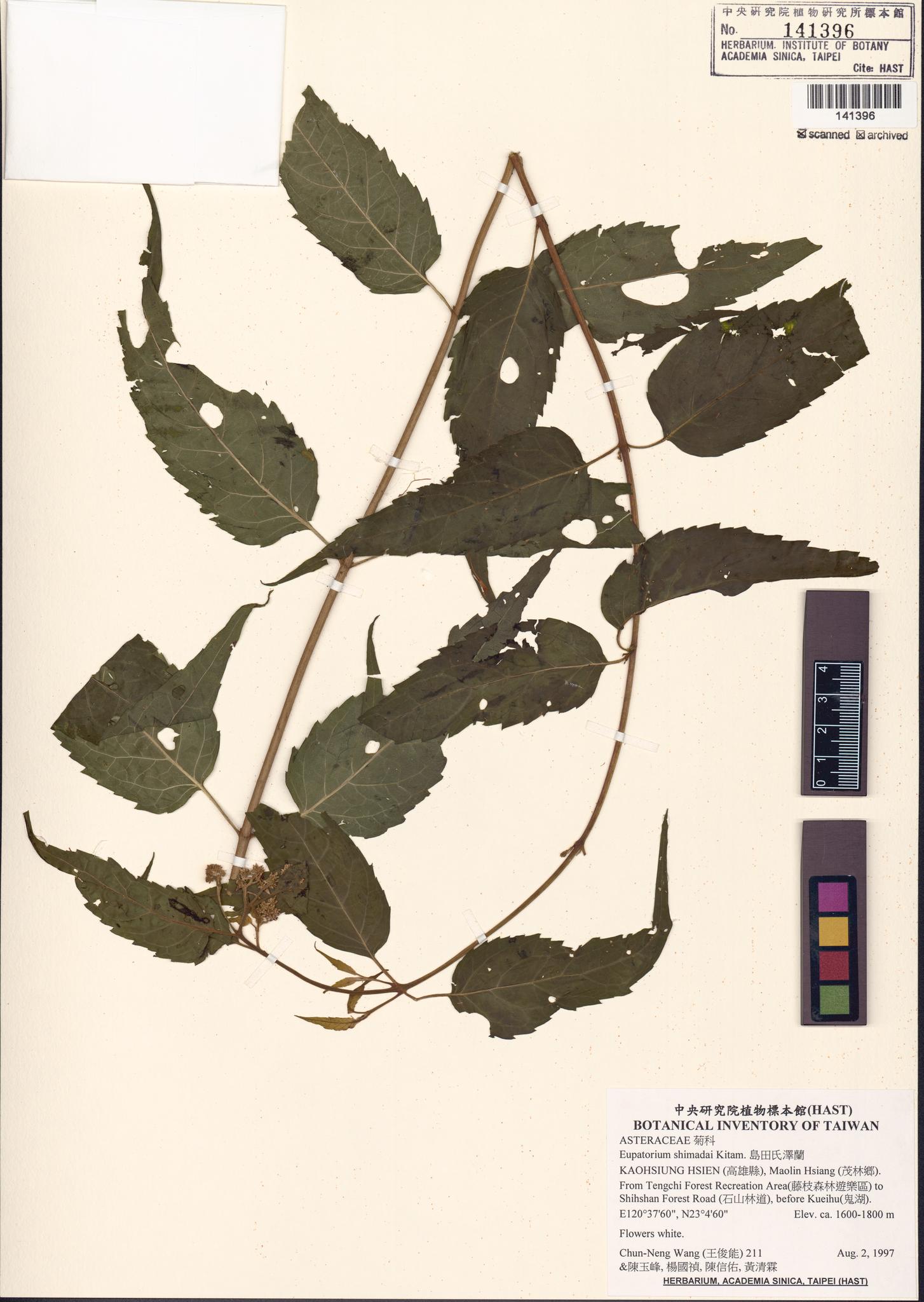 Specimen image