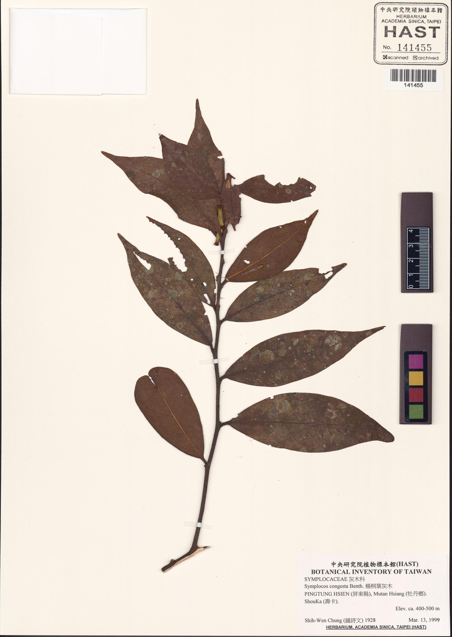 Sample image for viewer