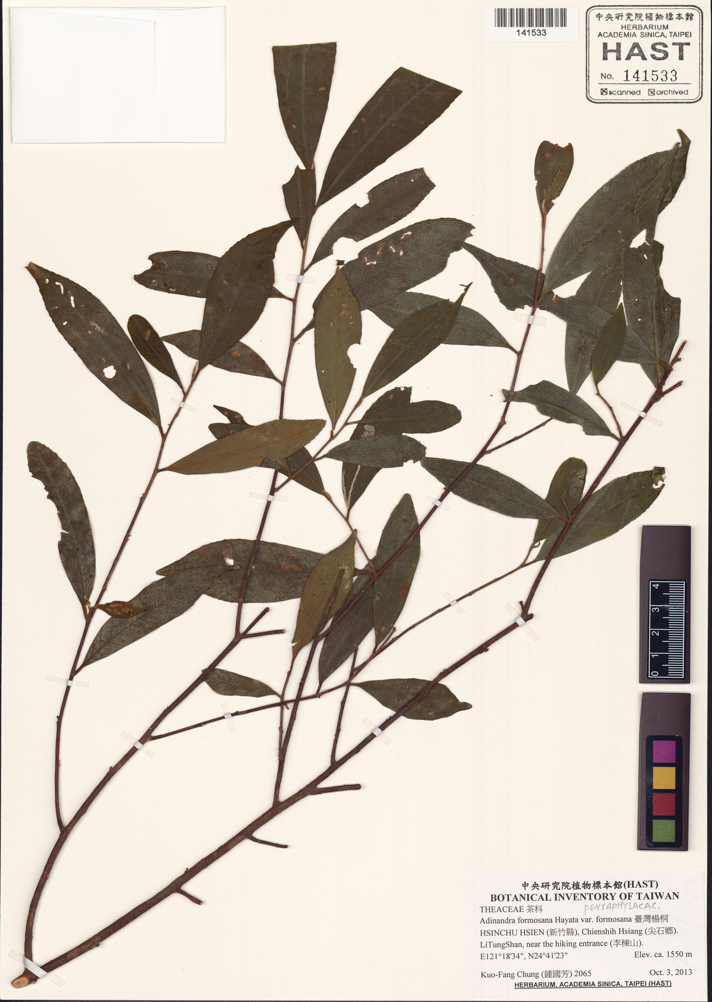 Sample image for viewer