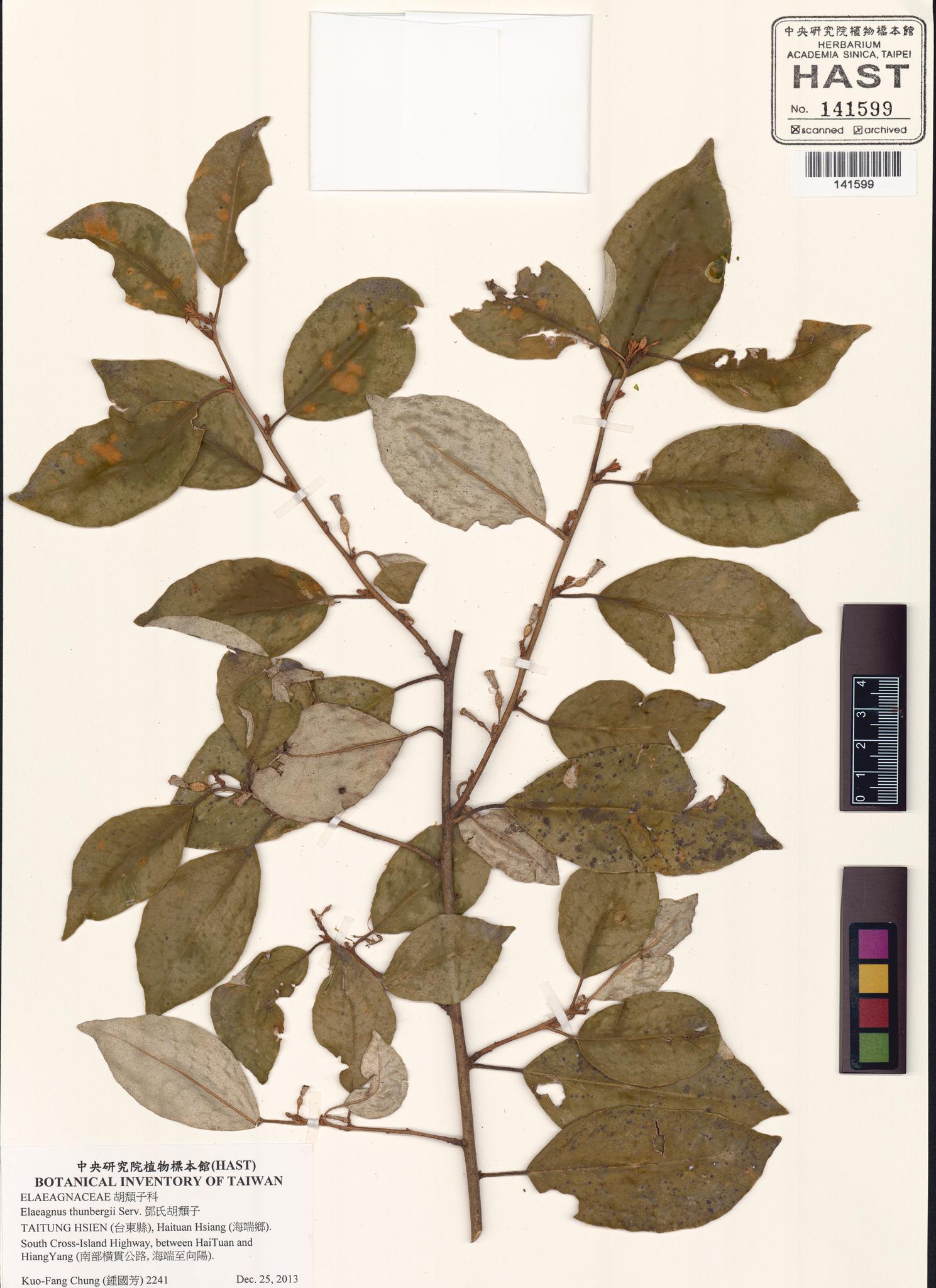 Sample image for viewer