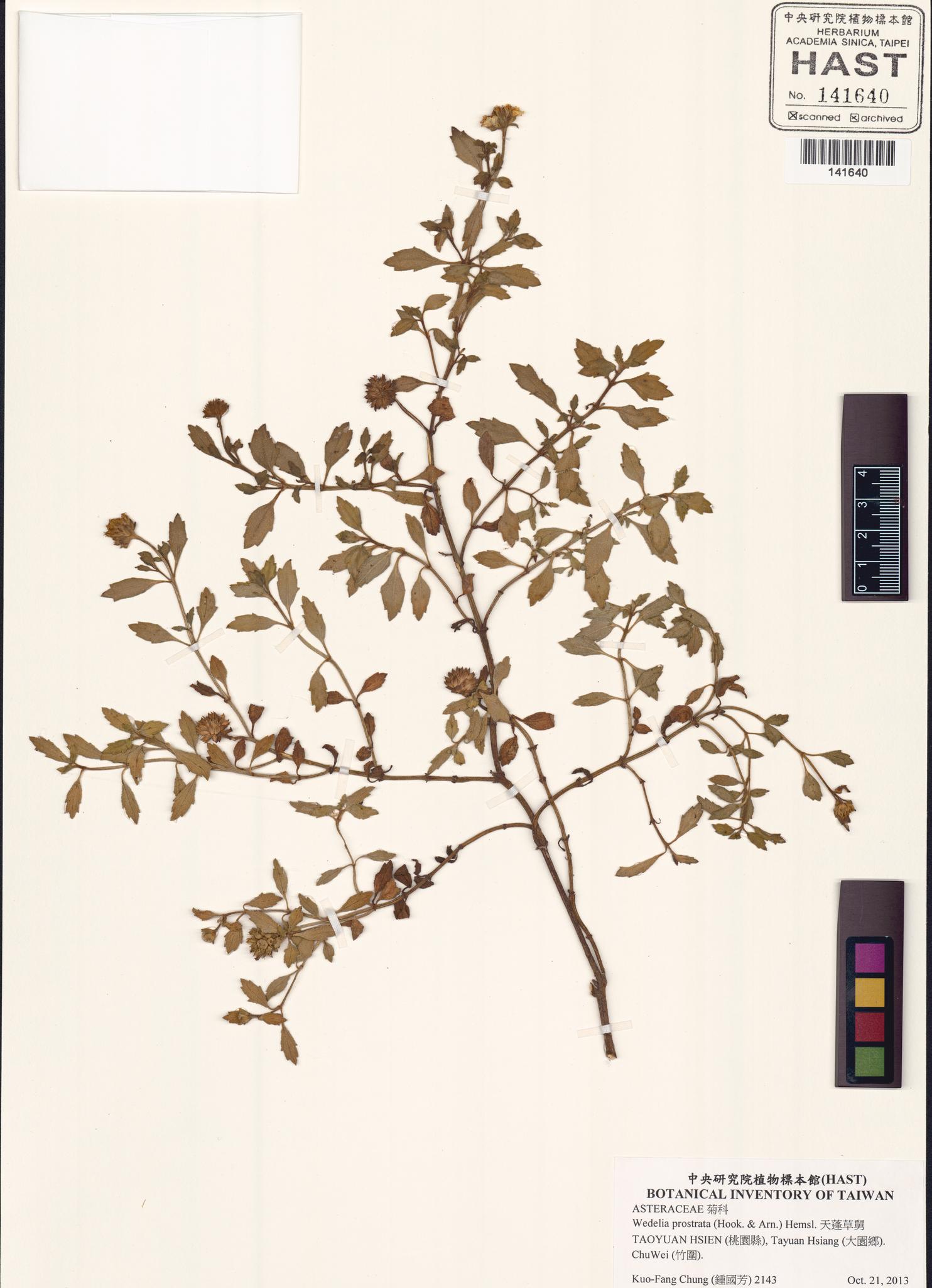 Specimen image