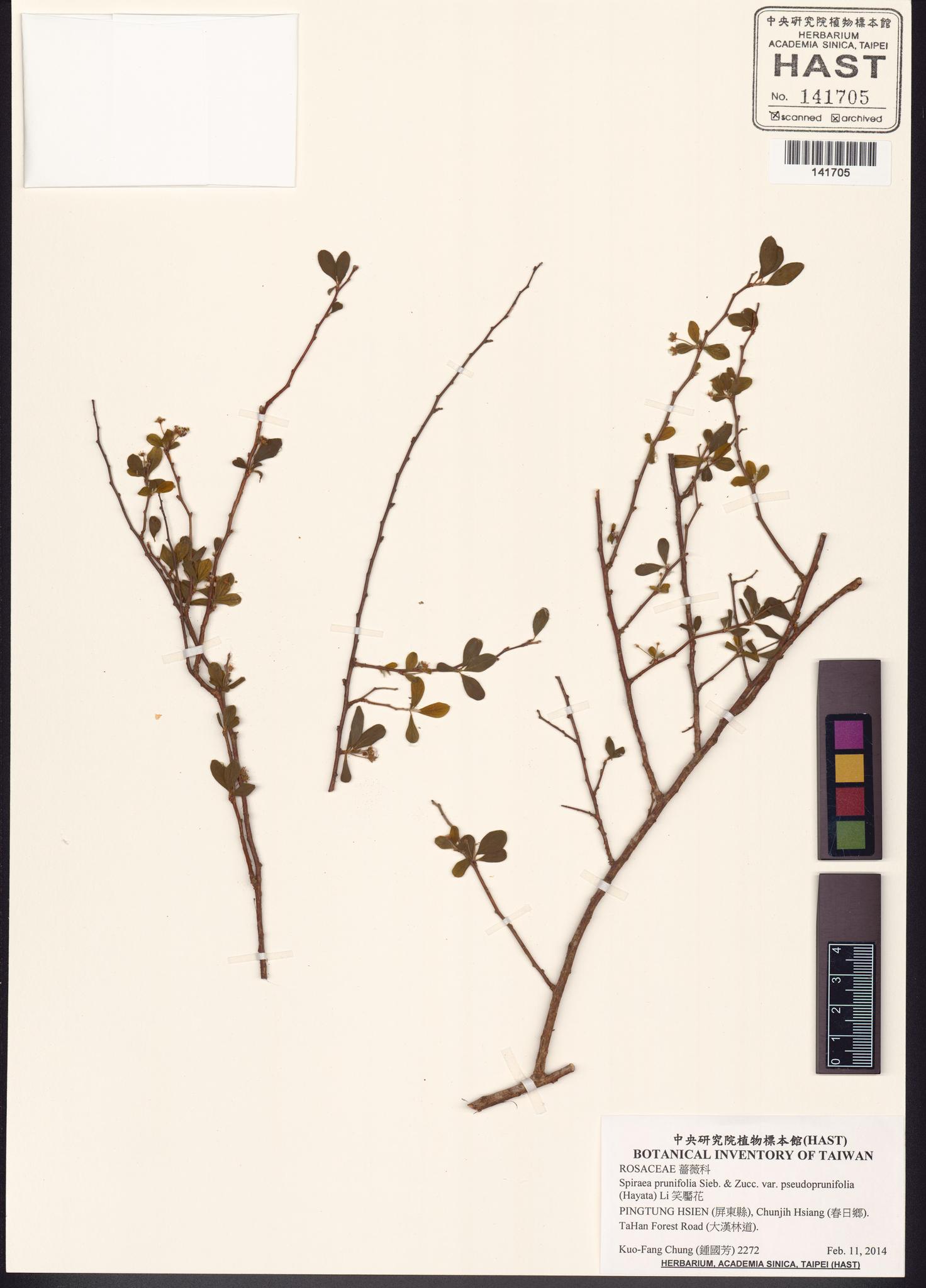 Sample image for viewer