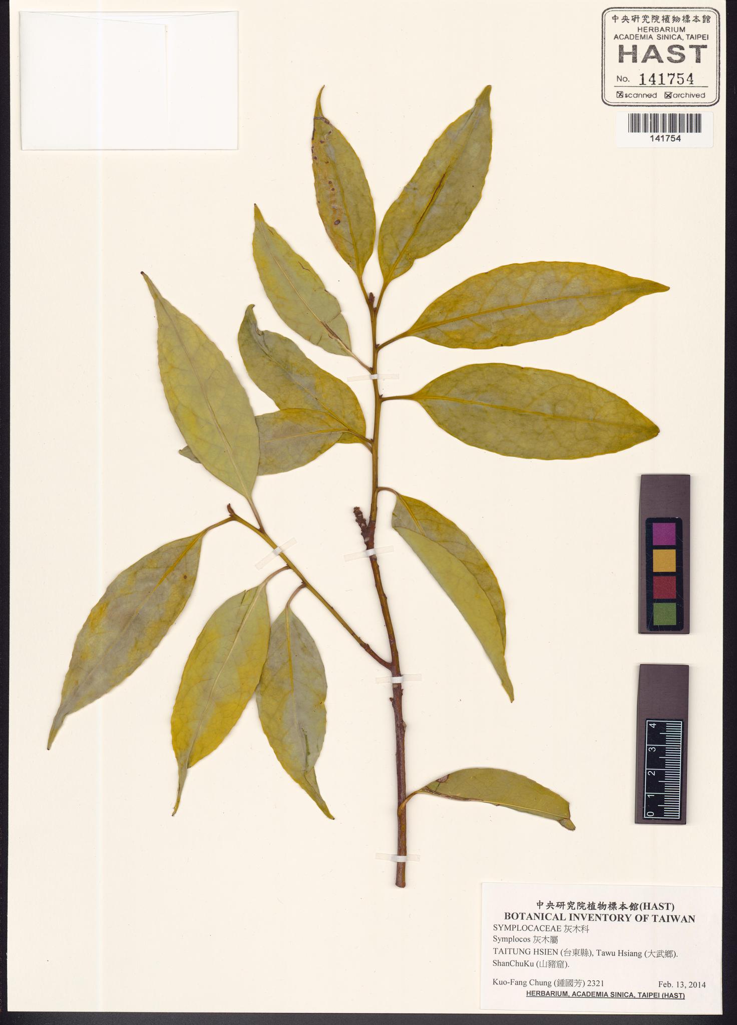 Sample image for viewer