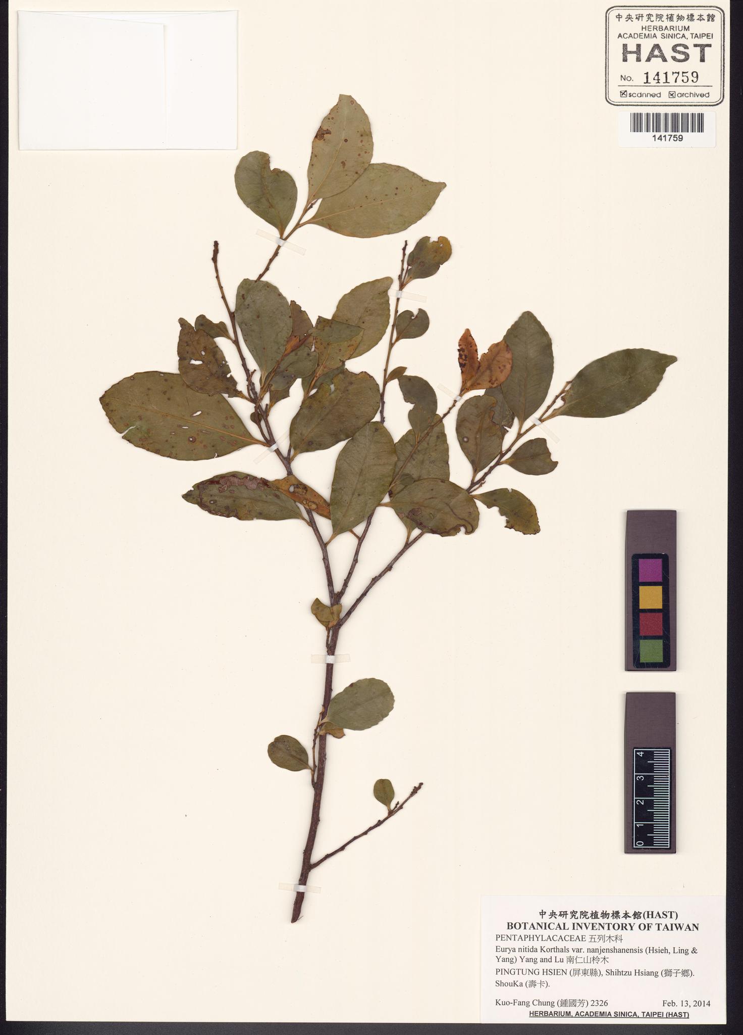 Sample image for viewer