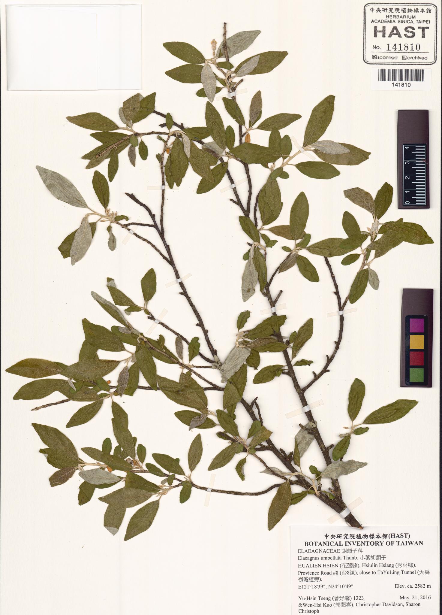 Sample image for viewer