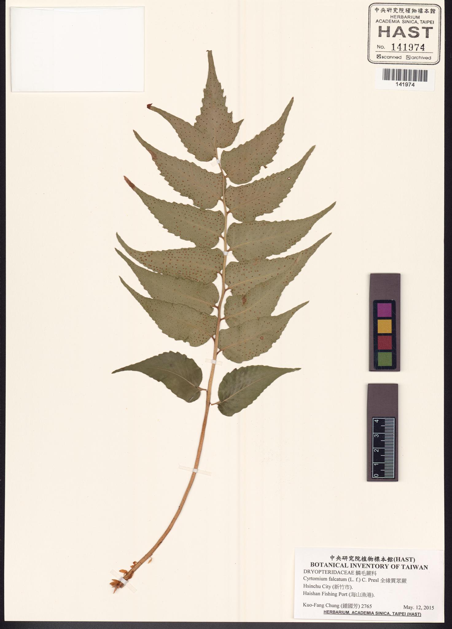 Sample image for viewer