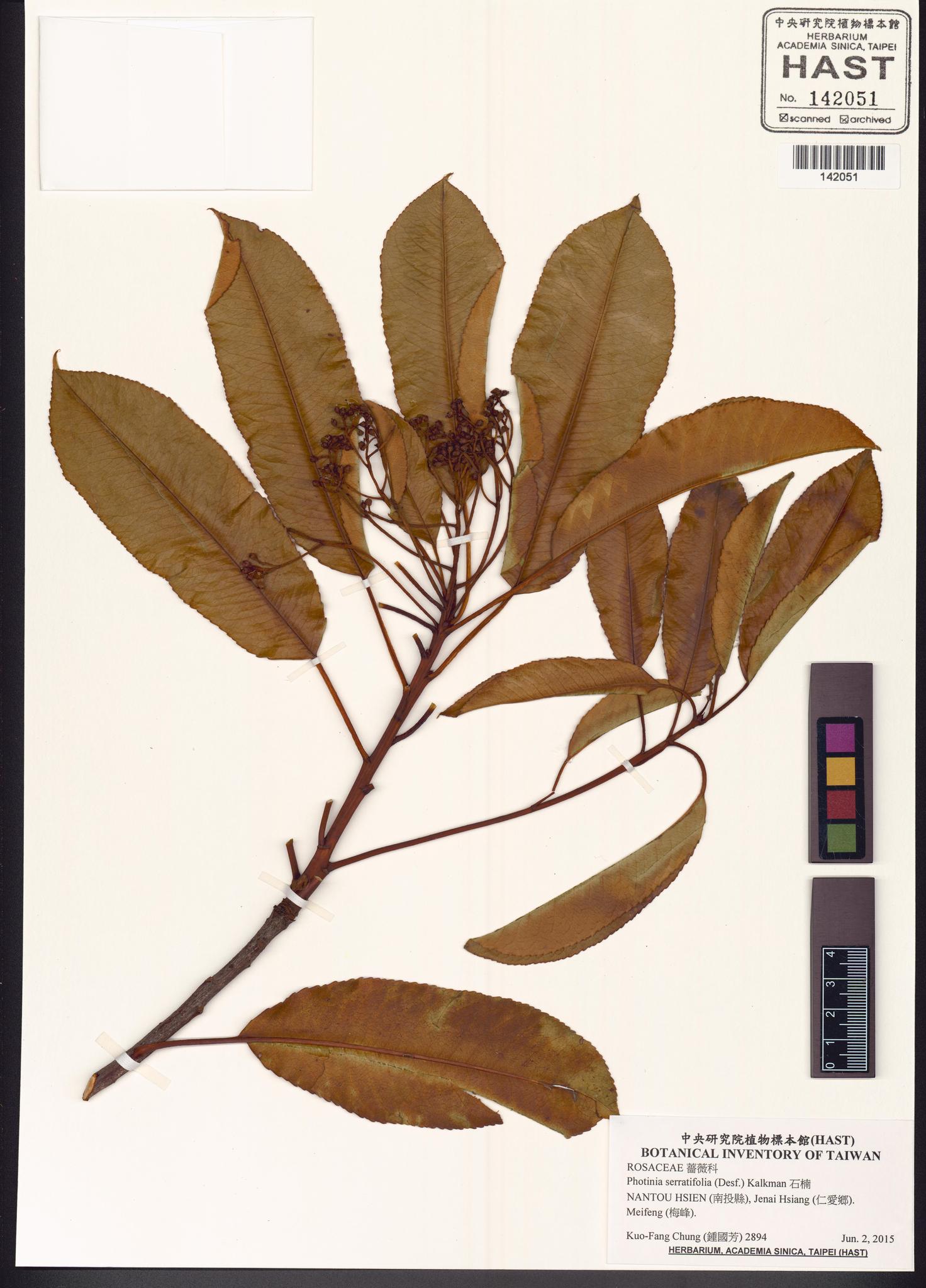 Sample image for viewer