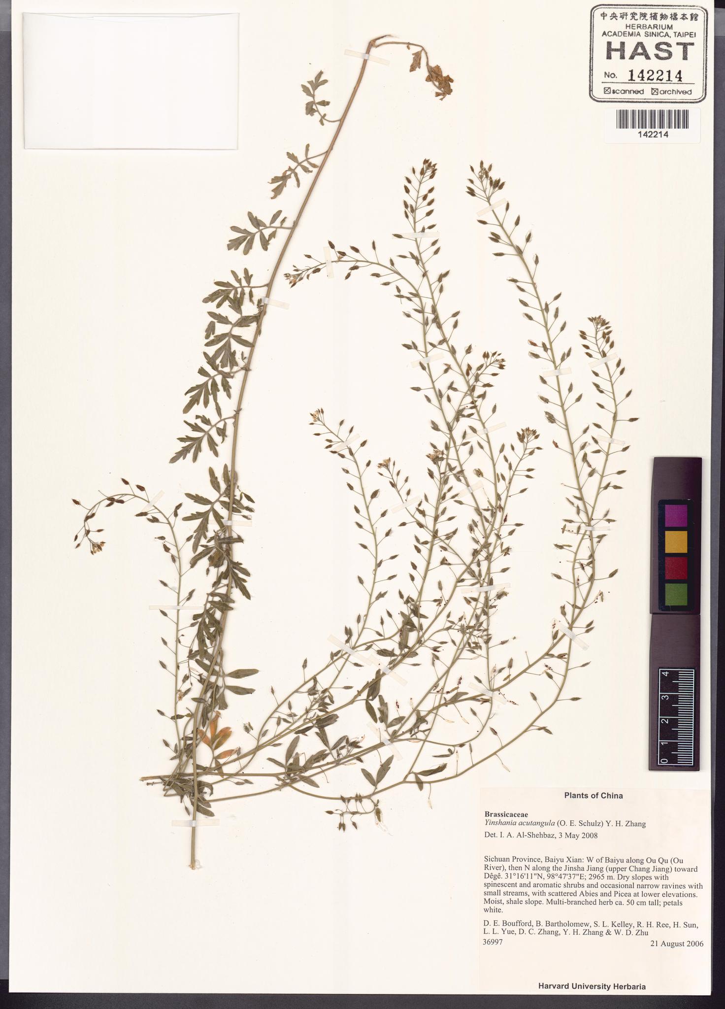 Specimen image