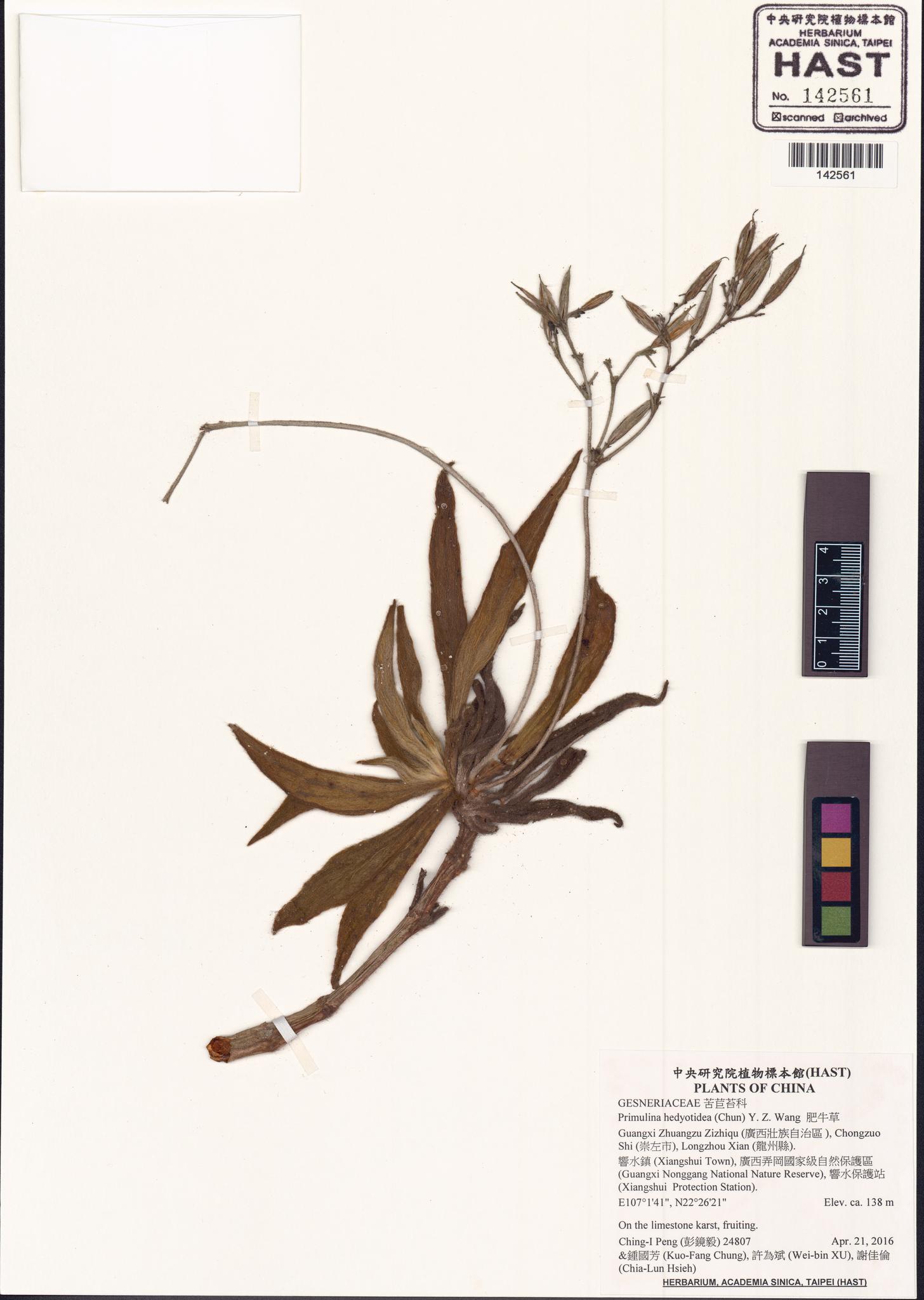 Specimen image