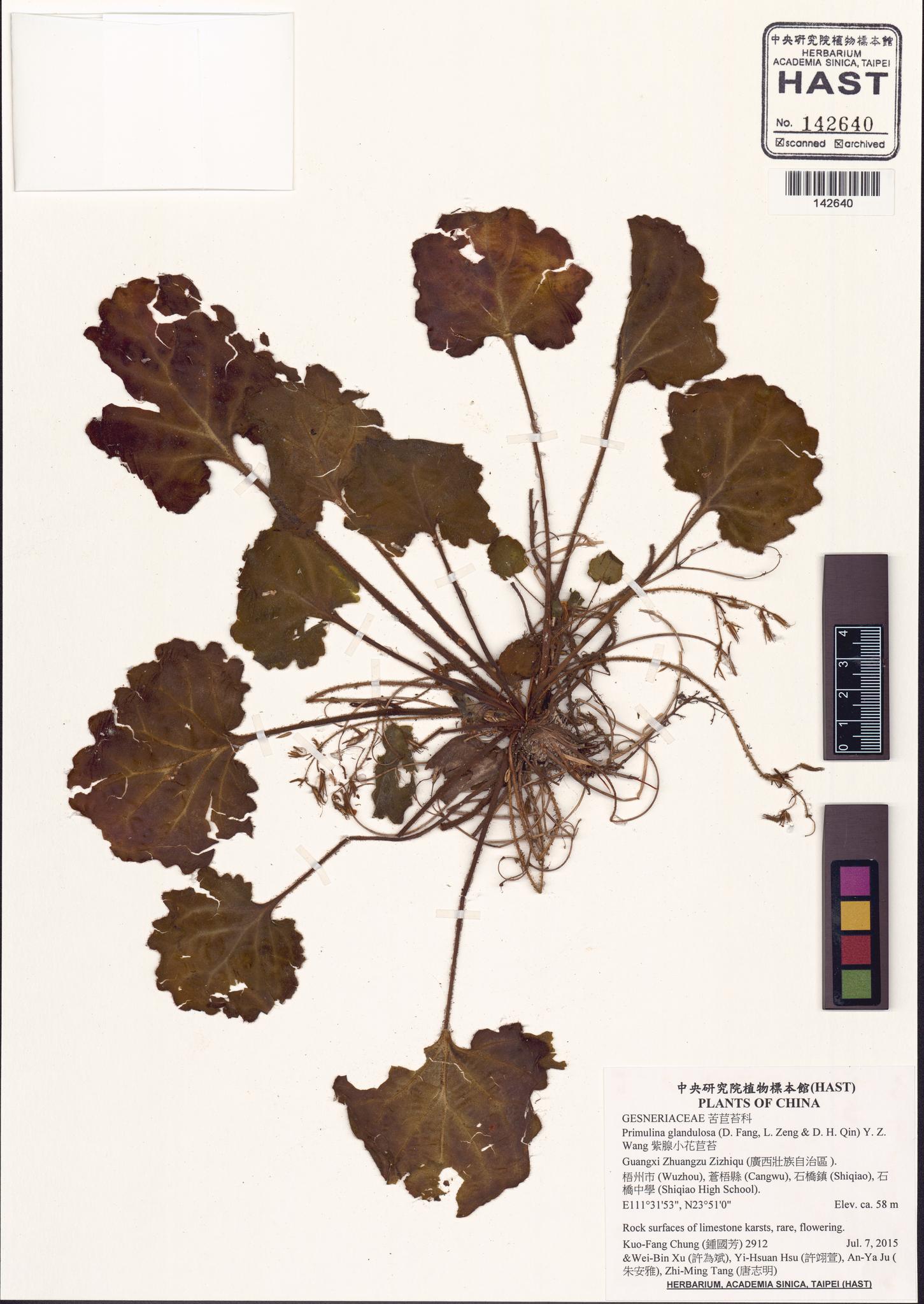 Sample image for viewer