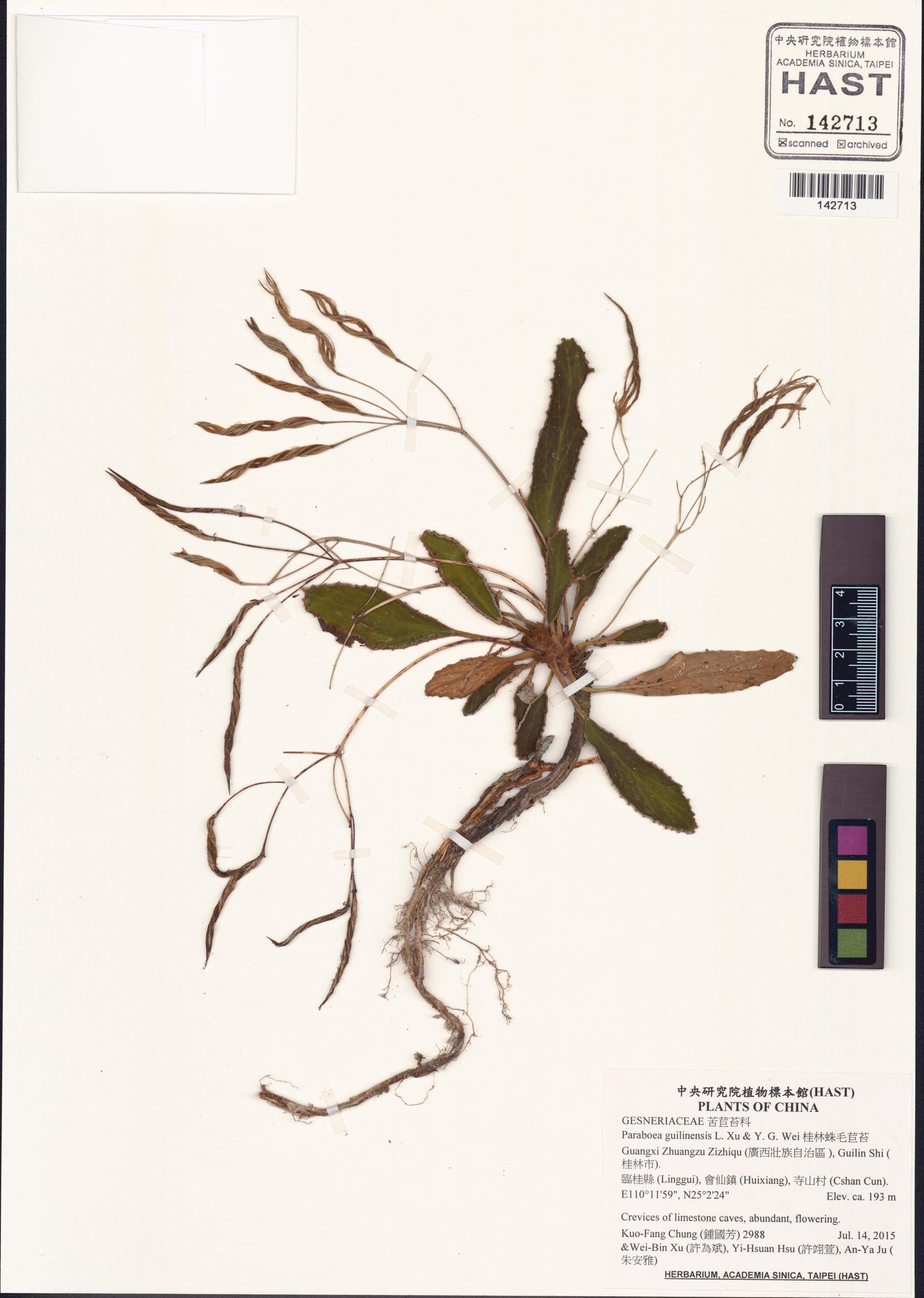 Specimen image