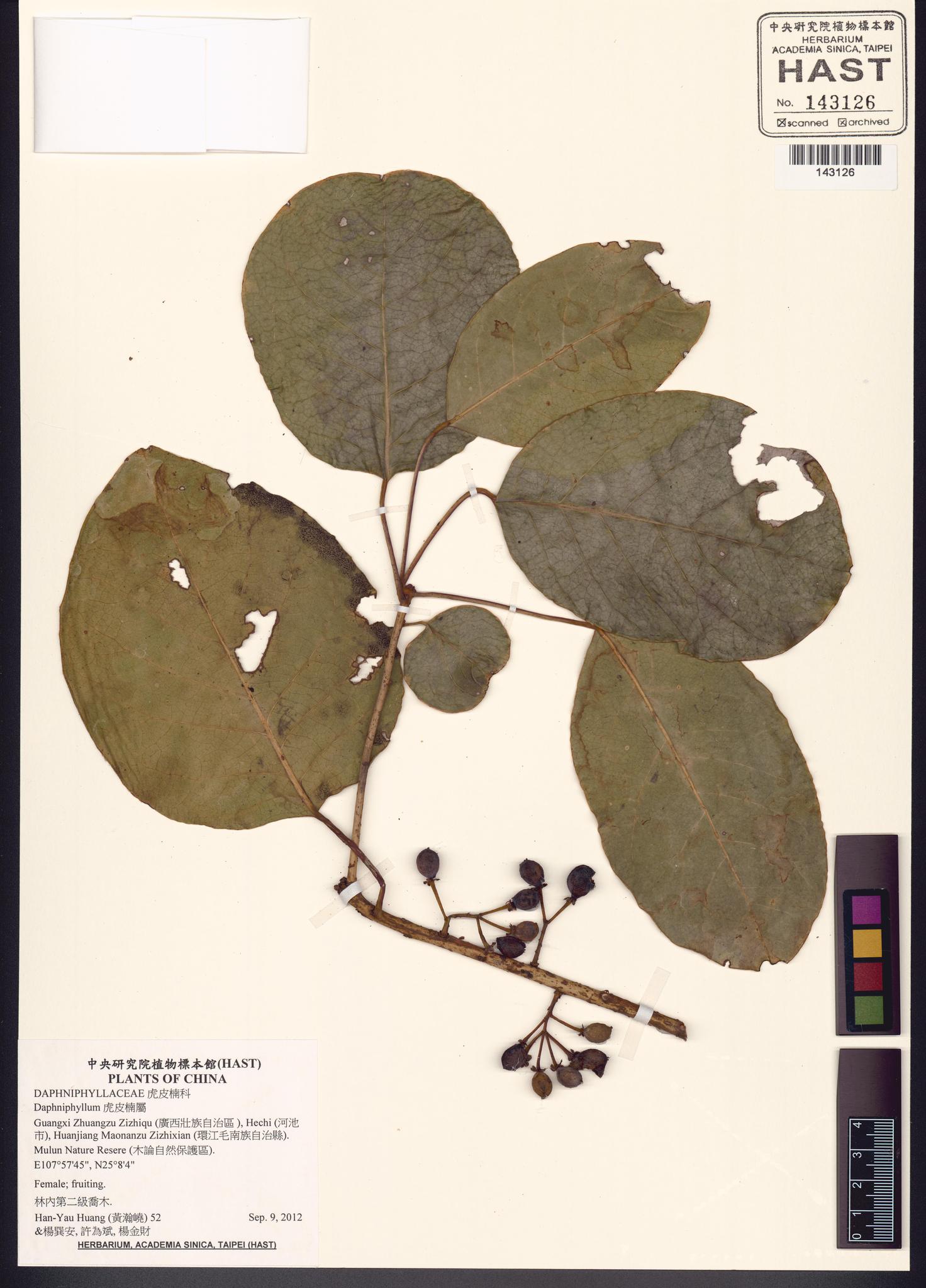 Sample image for viewer