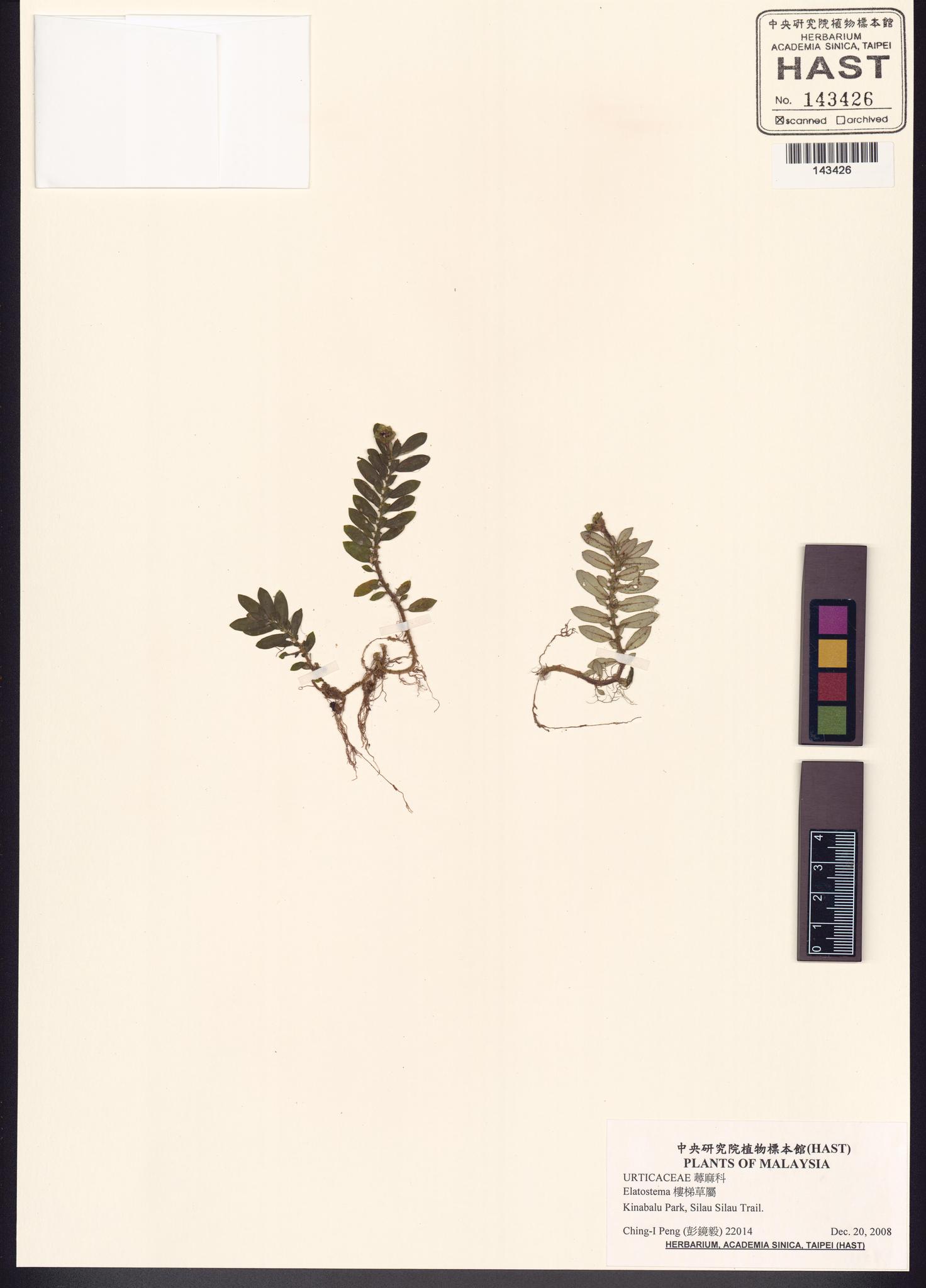 Sample image for viewer