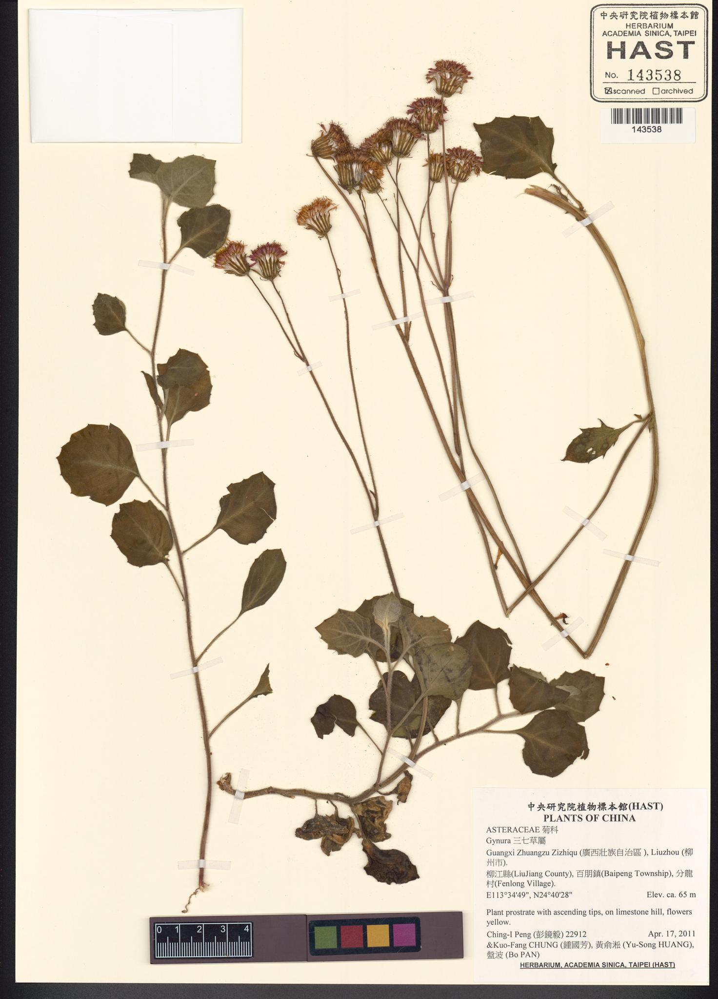 Sample image for viewer