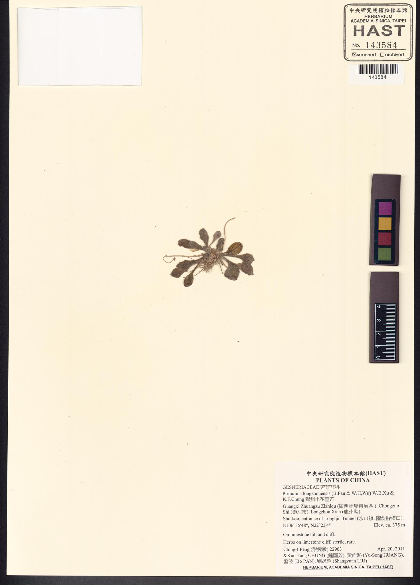 Specimen image