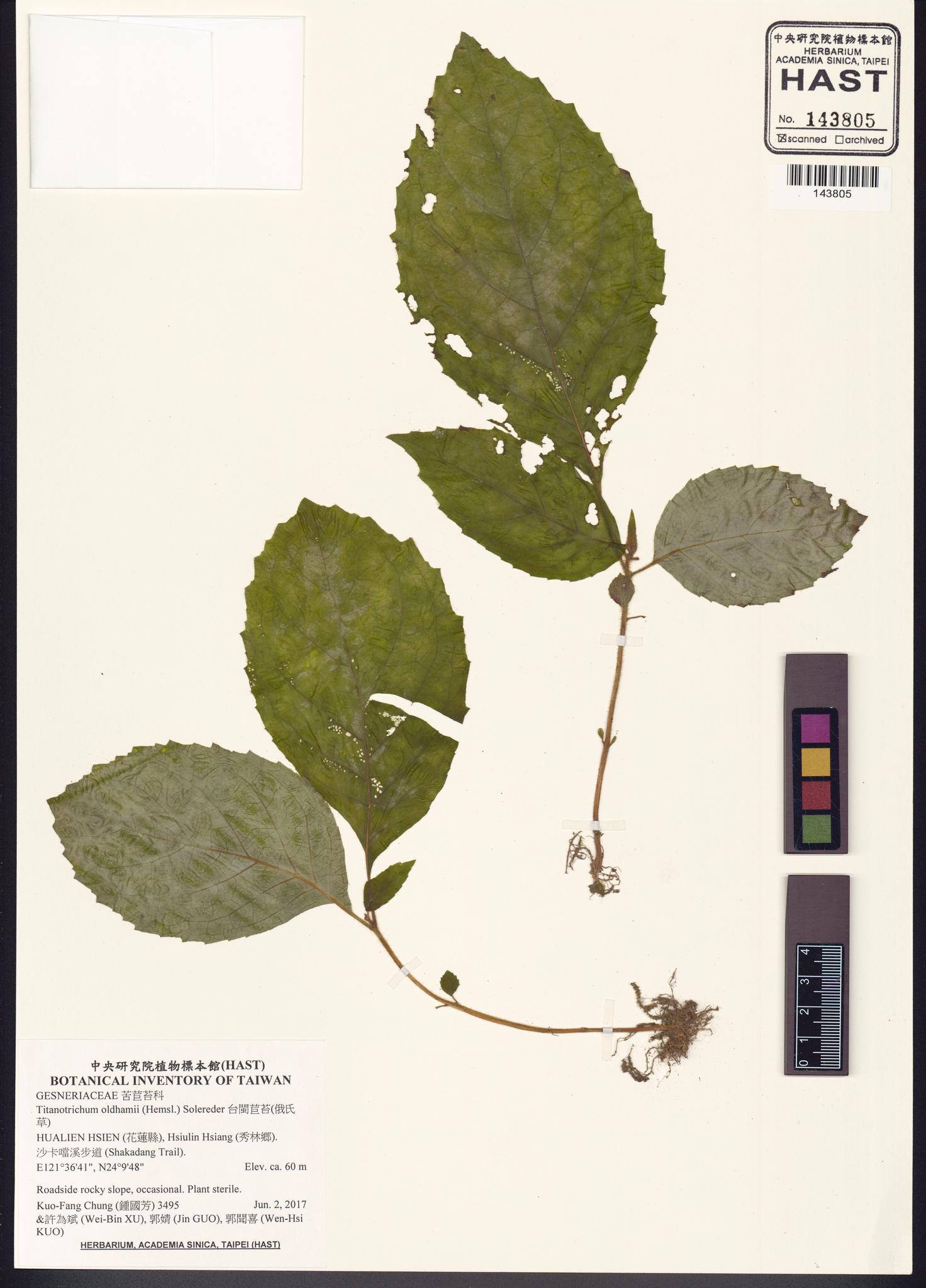 Sample image for viewer