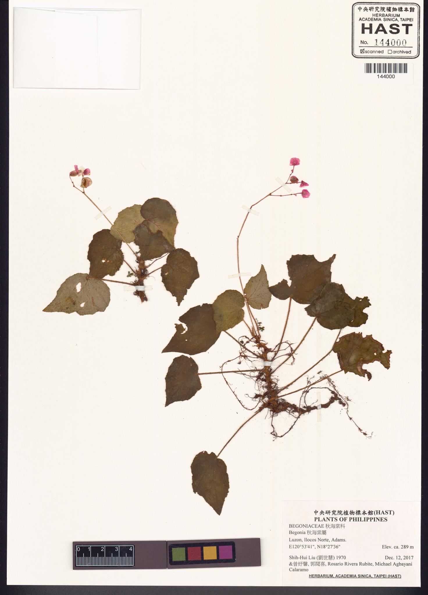 Sample image for viewer