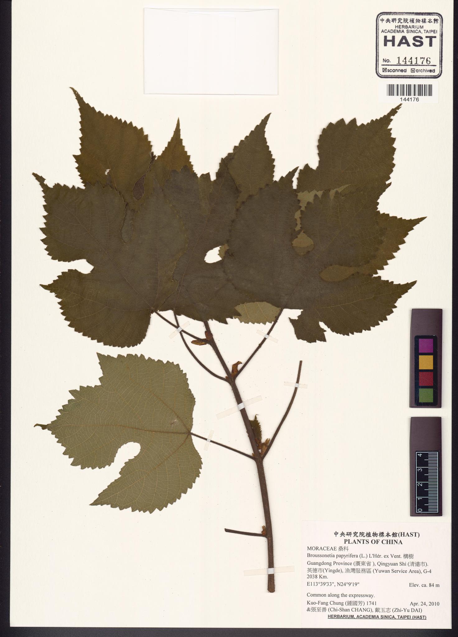 Sample image for viewer