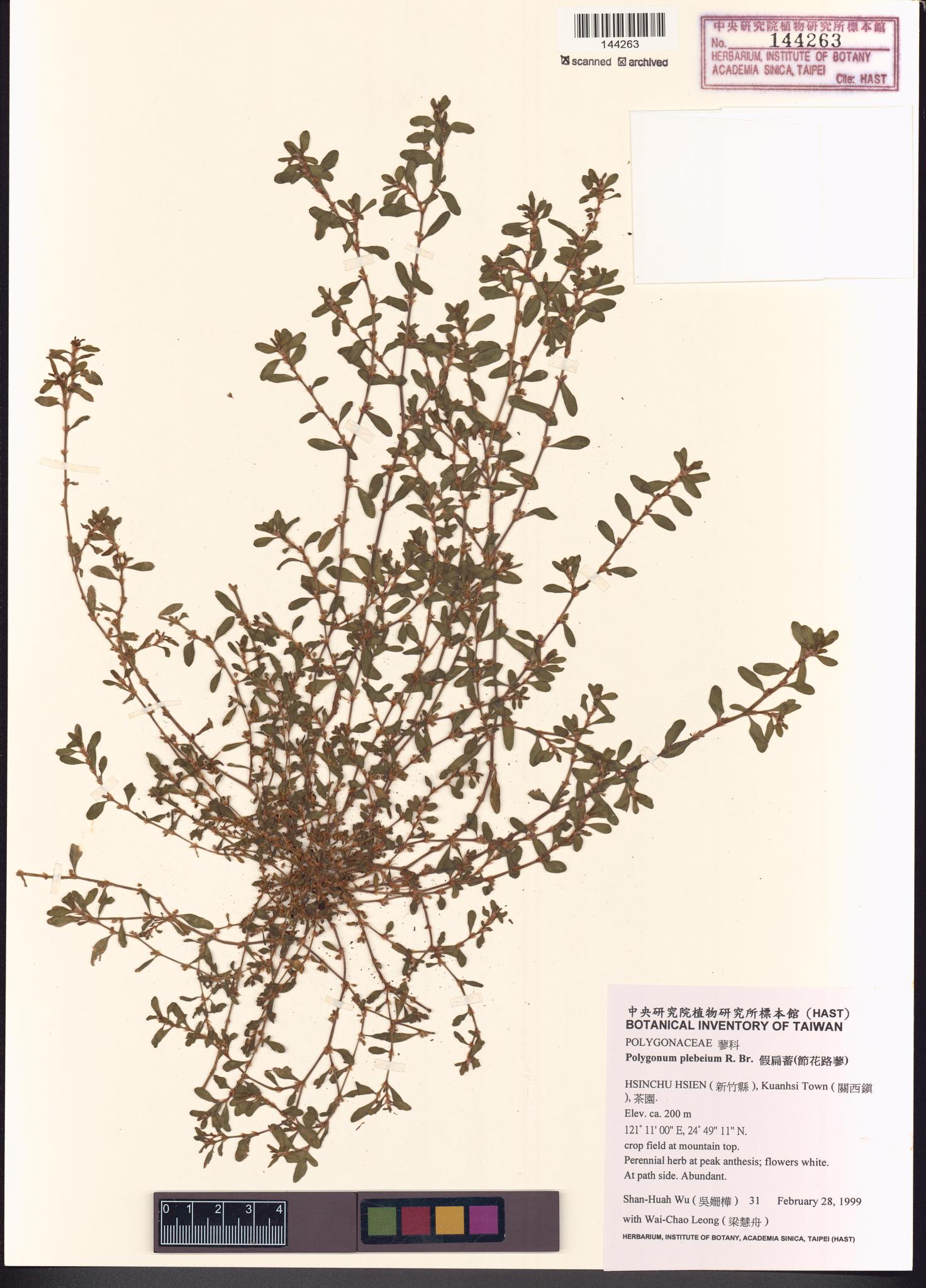 Sample image for viewer