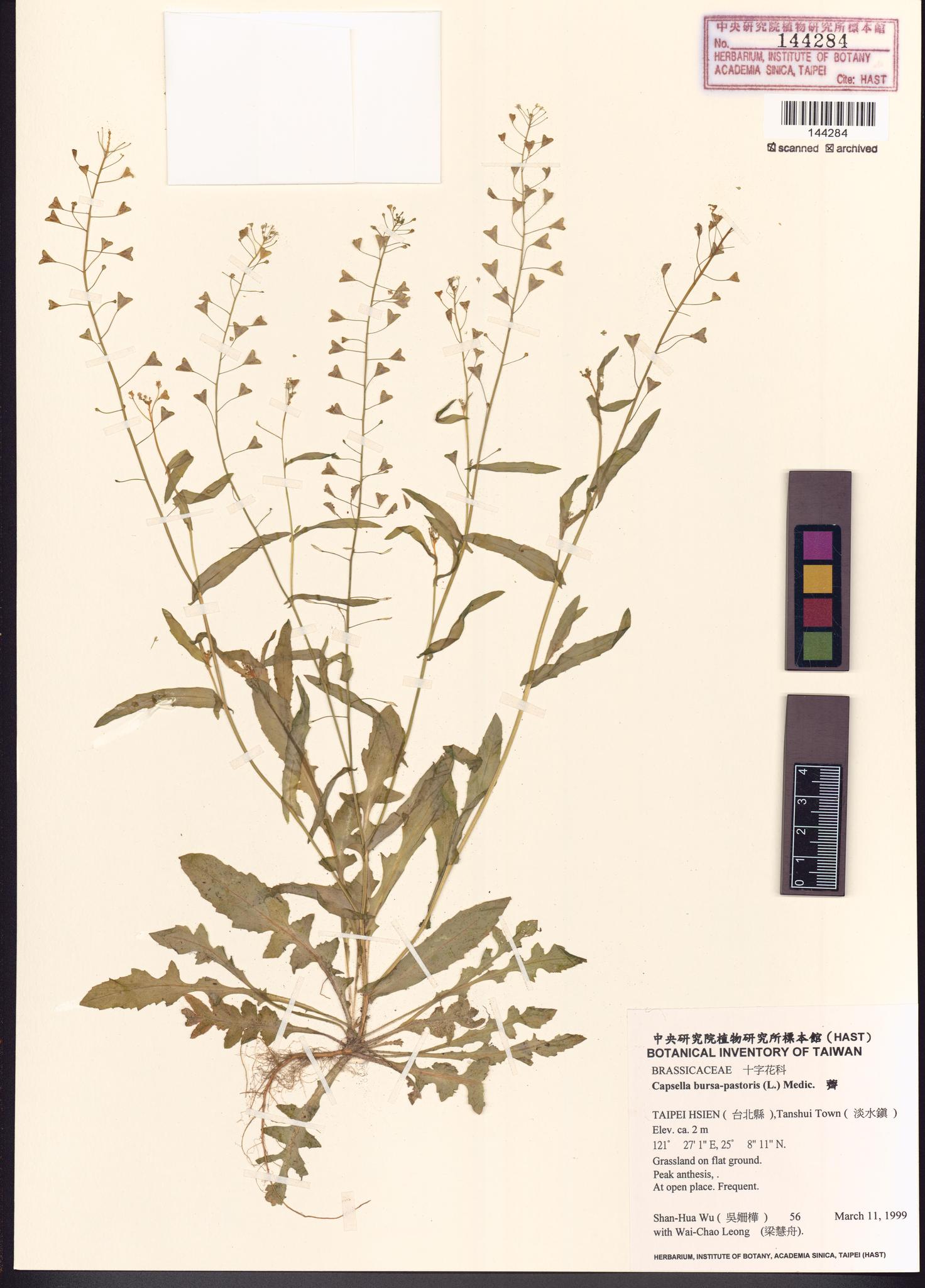 Sample image for viewer