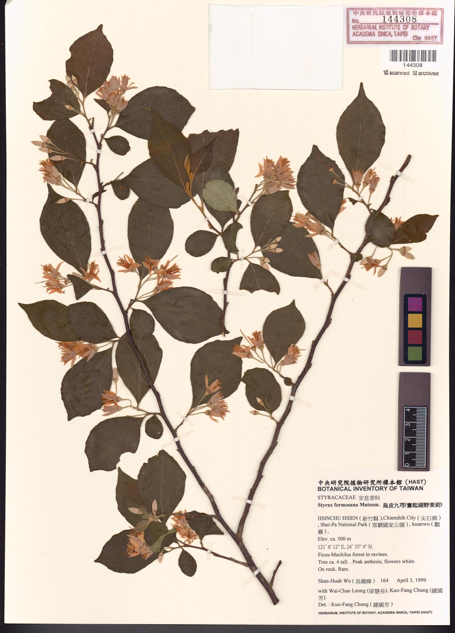 Sample image for viewer