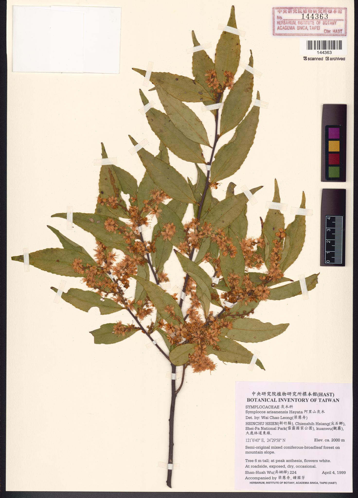 Sample image for viewer